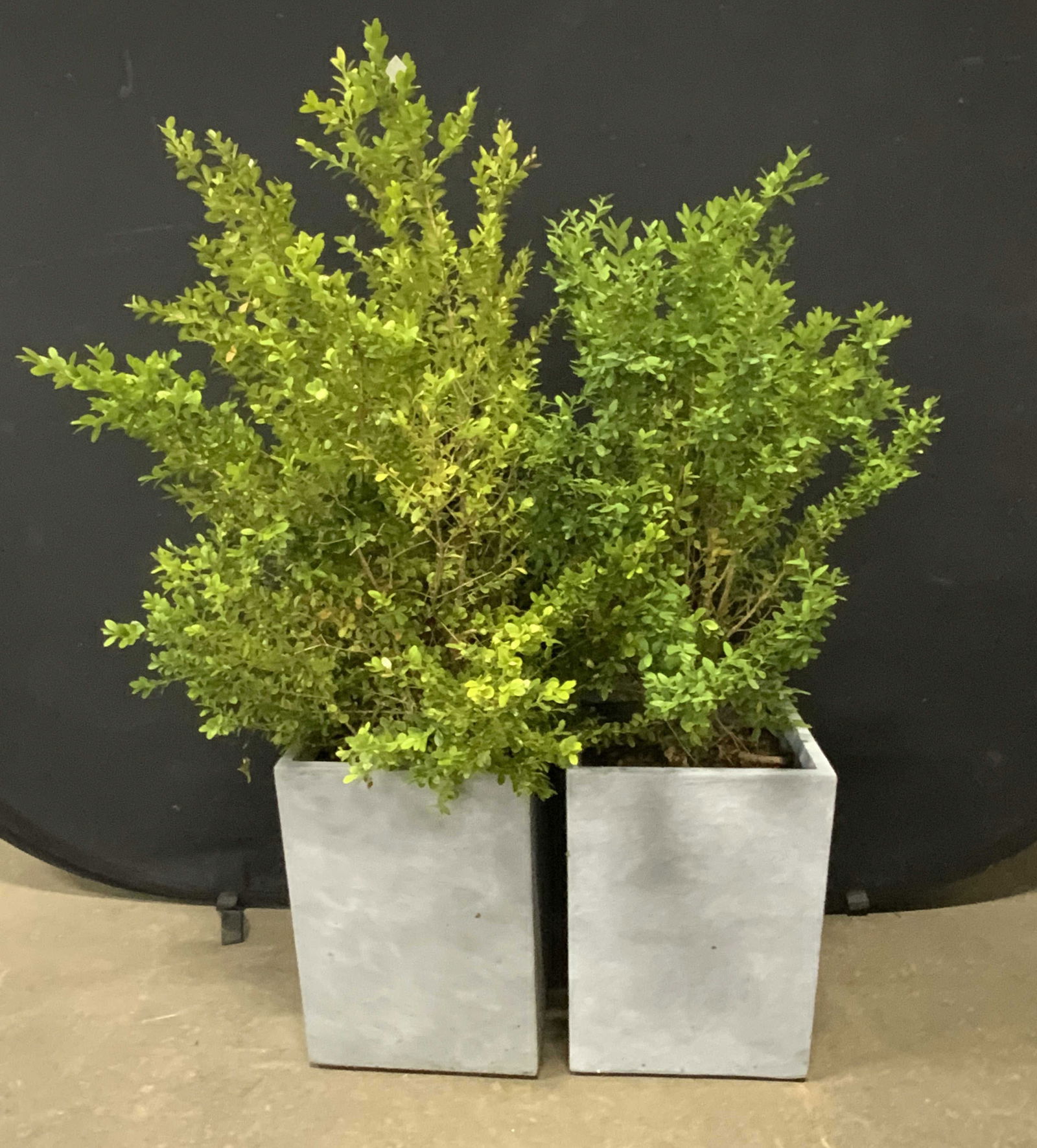 Pair Rectangular Gray Composite Planters (1 of 7)