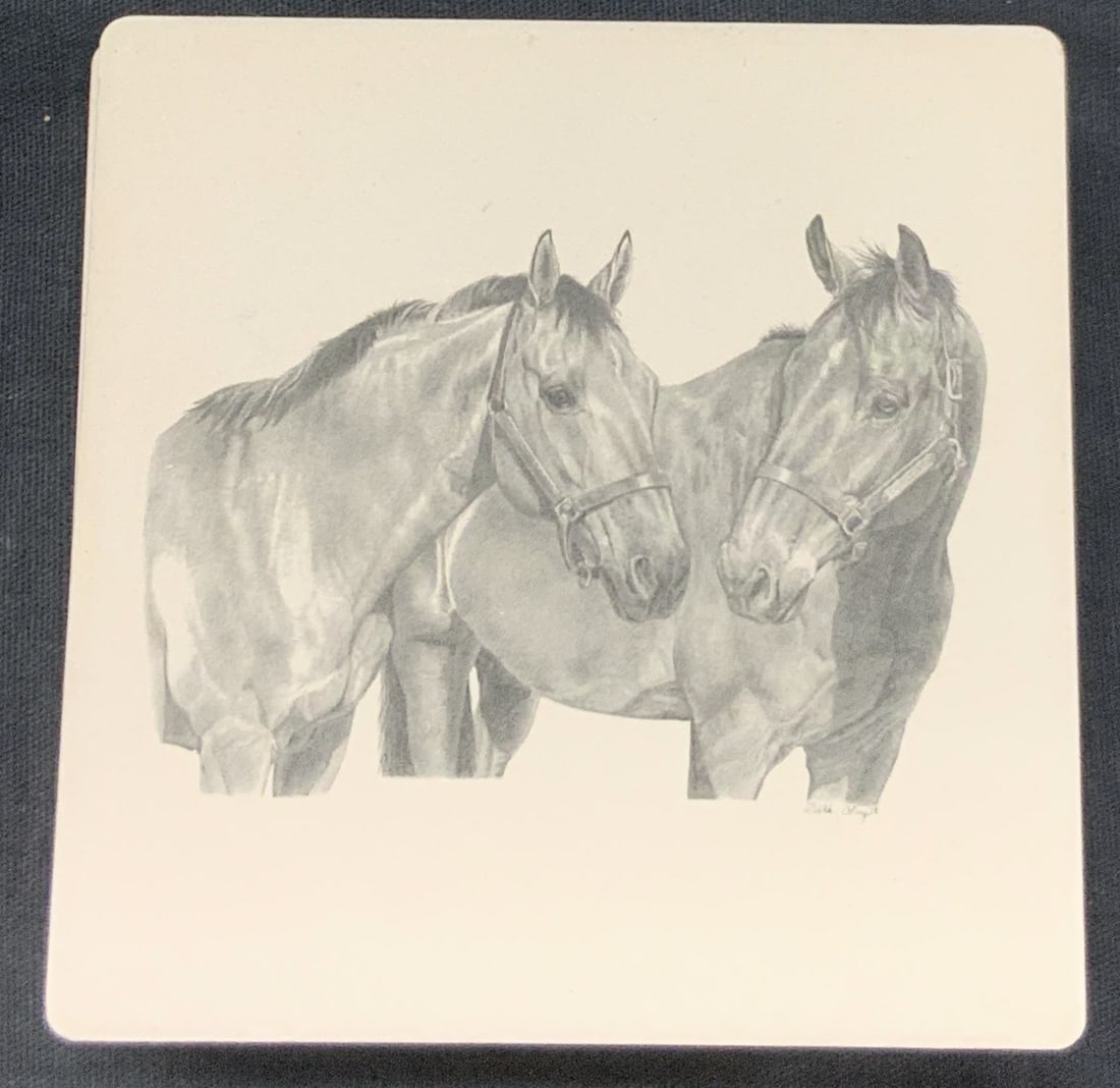 Set 4 Waterwick USA Ceramic Horse Coasters, W Box (1 of 7)