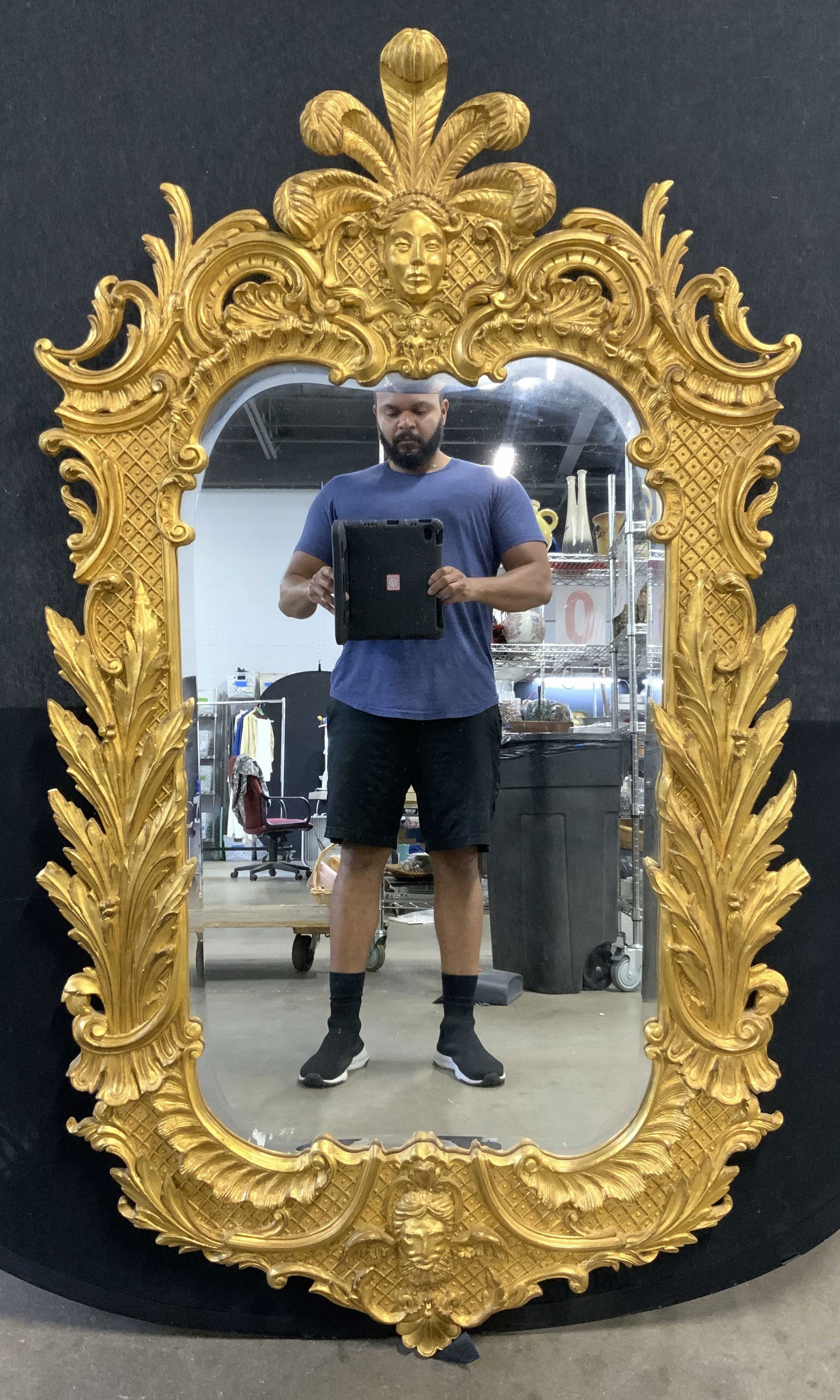 CARVERS GUILD Victorian Beveled Wall Mirror 58in (1 of 10)