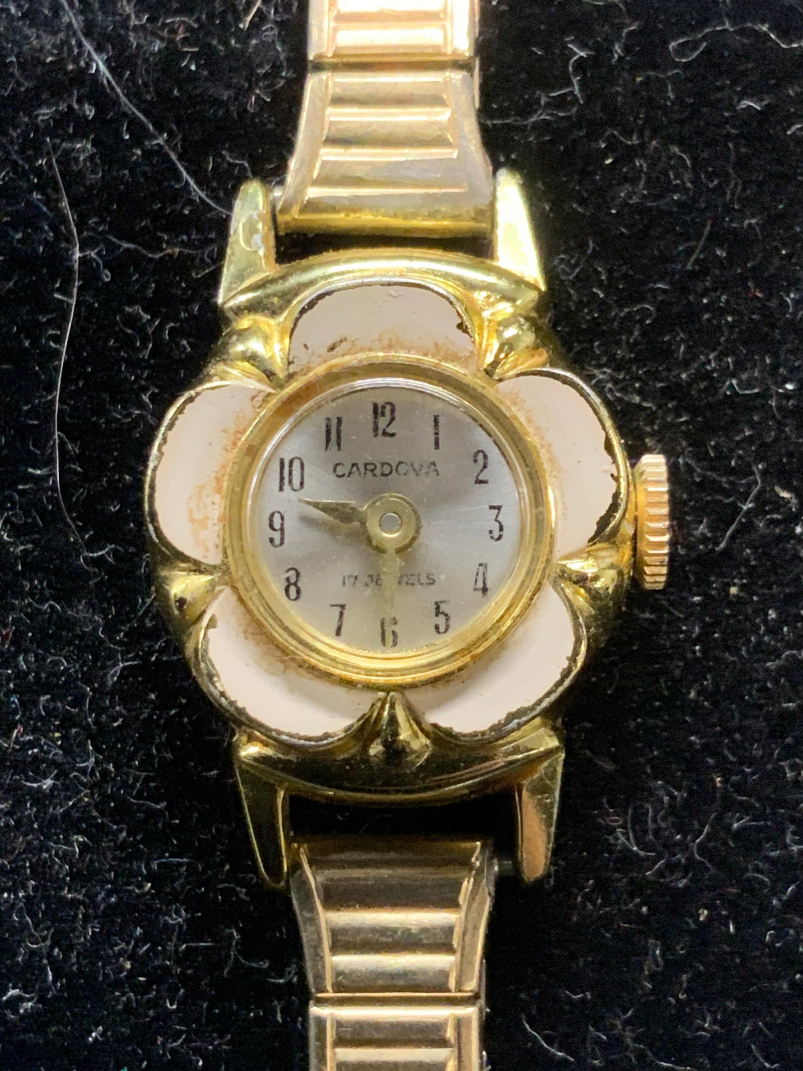 Cardova Gold Tone Enameled Flower Watch: Cardova gold tone watch with white enameled flower motif. Signed on face. Band has some stretch. Measures approx. 2 inches wide (wrist). Not tested for function. Some surface wear including scratching