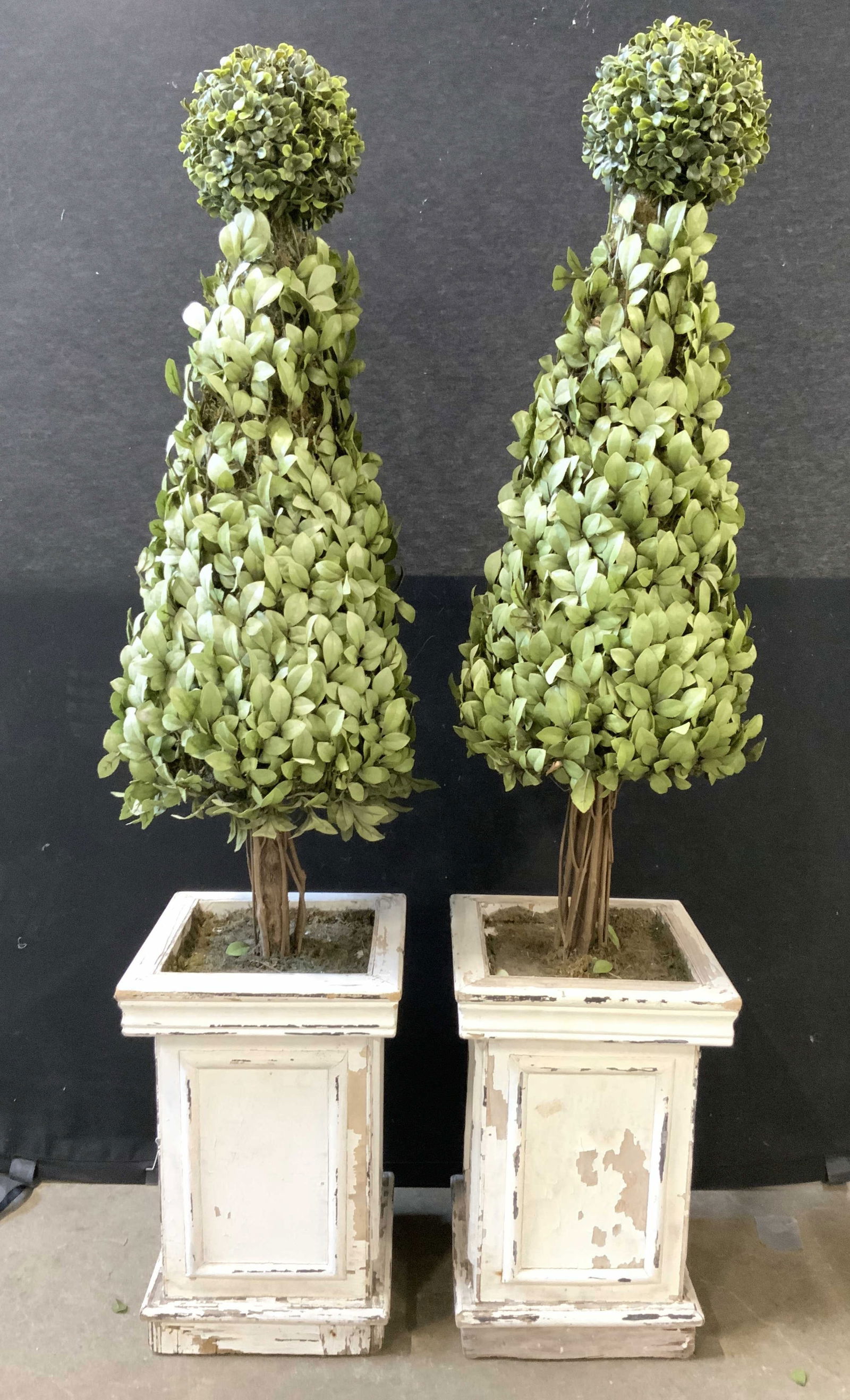 Pair Topiaries In Wooden Planters (1 of 7)