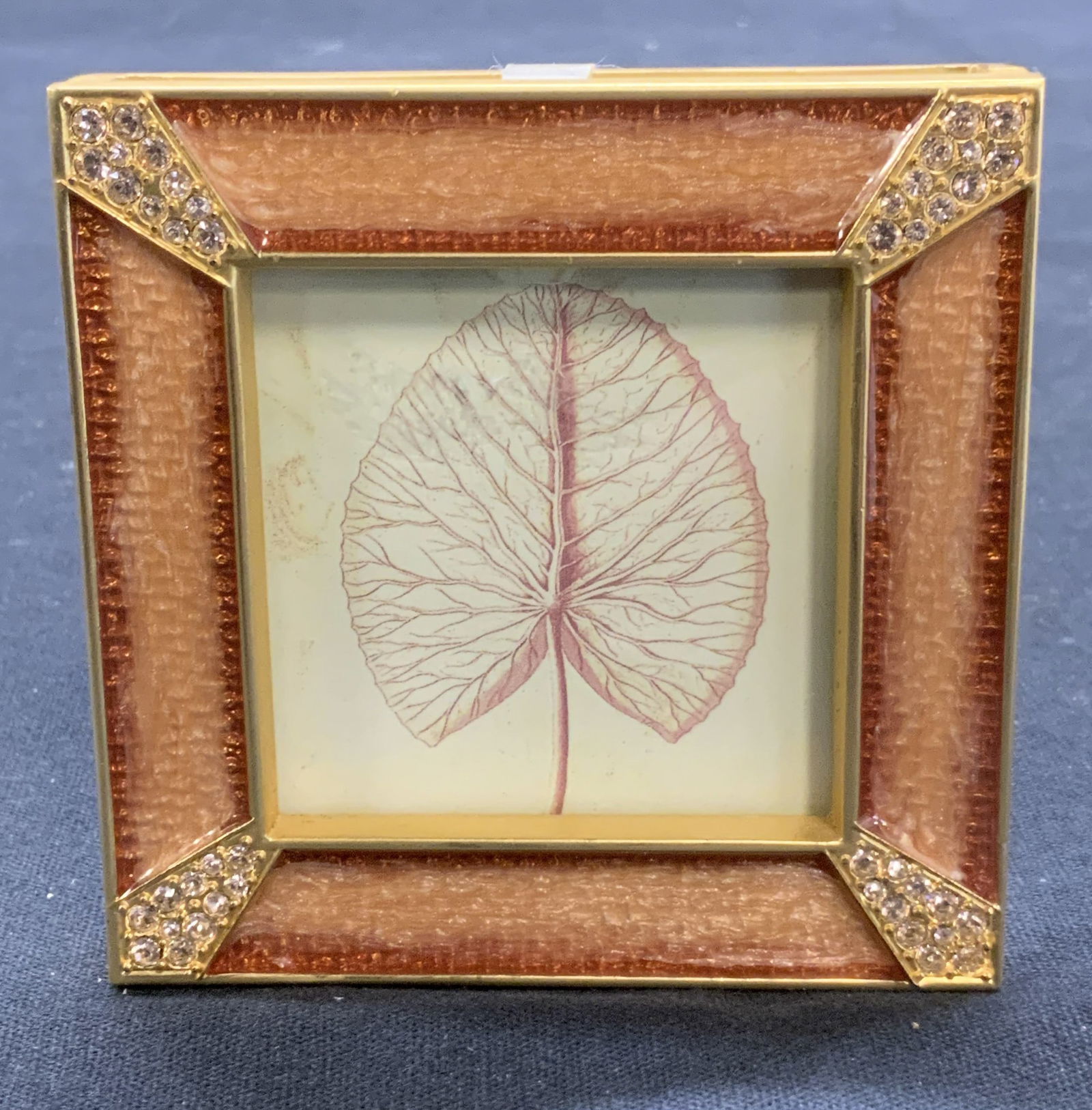 Jay STRONGWATER Enameled Crystal Picture Frame NWT (1 of 7)