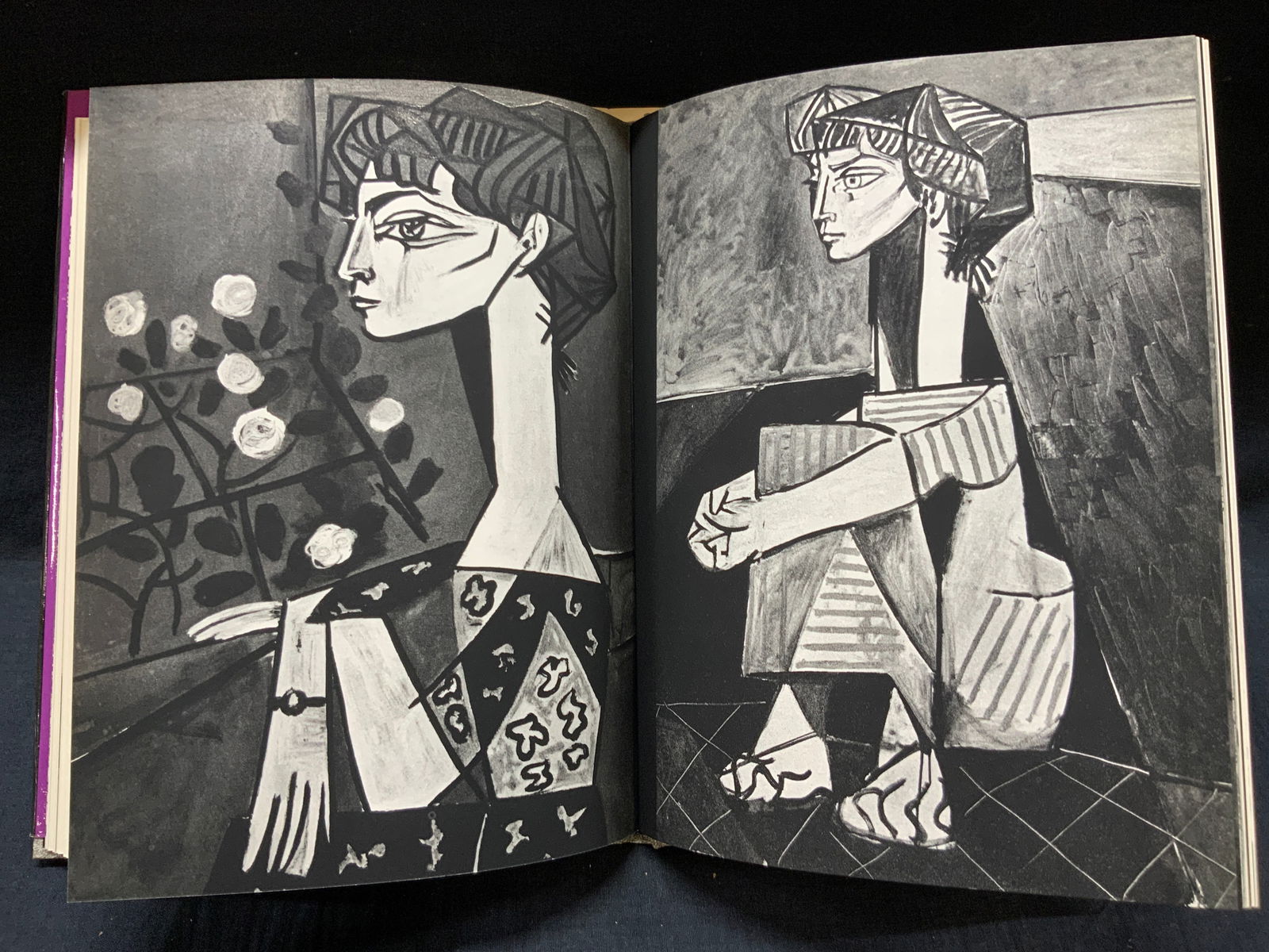 1976 The Silent Studio Picasso Art Book (1 of 9)