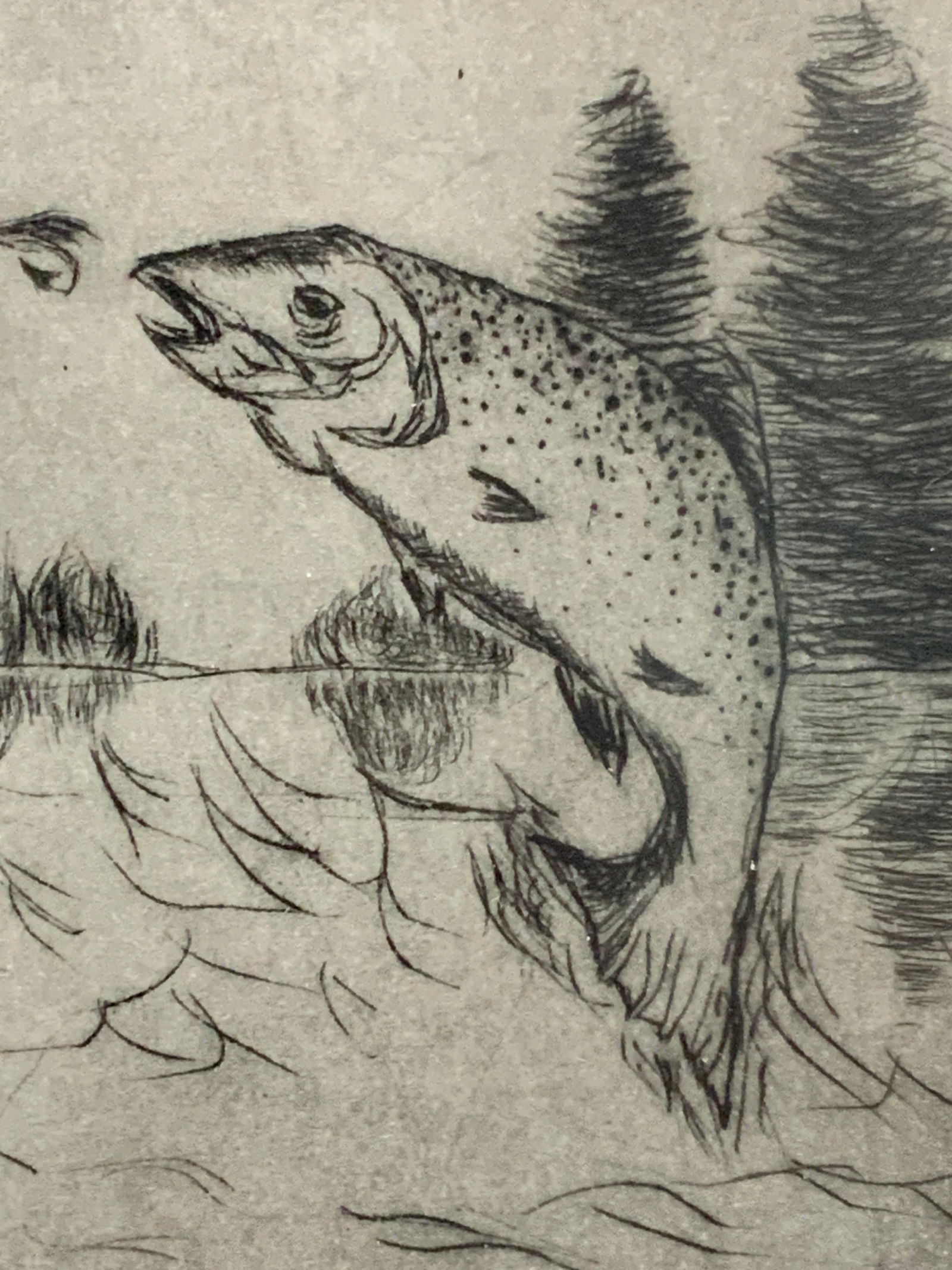 Framed Fishing Plate Engraving (1 of 5)