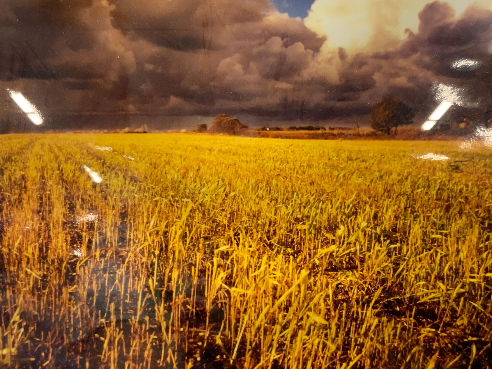 Graham Glover Sgd Landscape Photography (1 of 9)