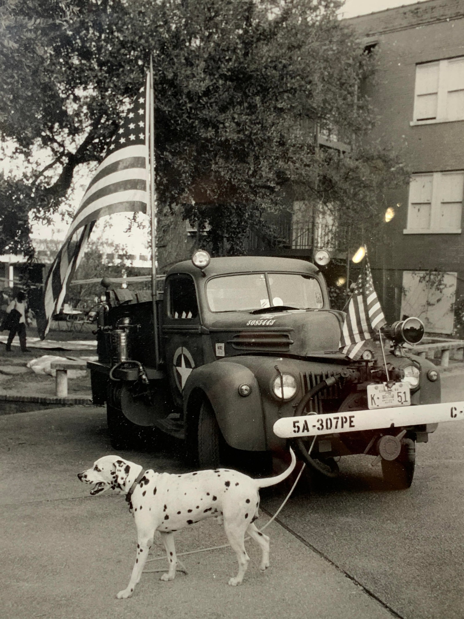 Black & White Vntg Fire Vehicle Photograph: Black and white photograph of a vintage fire vehicle with a Dalmatian dog in the front of the vehicle. Framed in a black wooden frame with white mat board. Approx 16.5 x 12.5 inches window measures 12