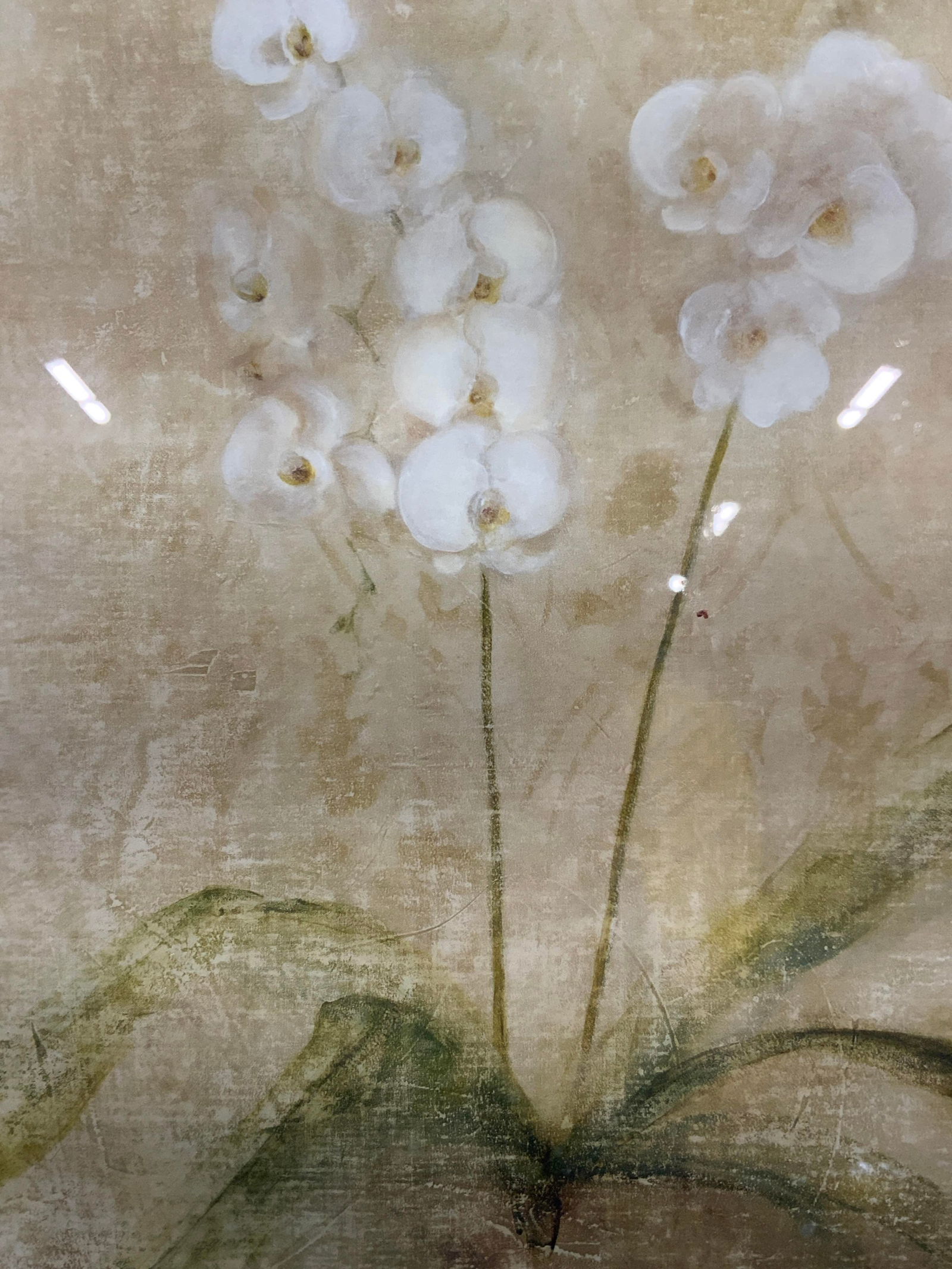 Framed Botanical Flower Lithograph (1 of 6)