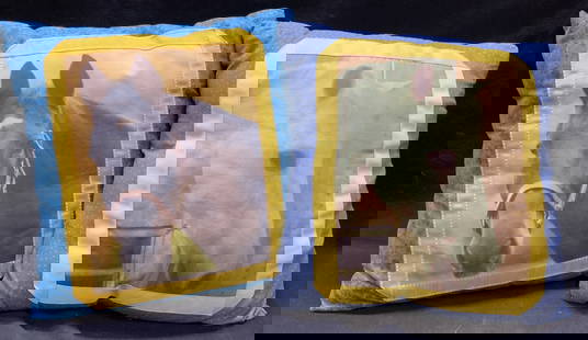 Lot 2 Vintage Horse Pillows: Lot includes 2 pillows. One is aqua toned with glittered & textured detail, one is blue with yellow toned polka dot detail. Each pillow has printed images of horses. Each pillow measures
