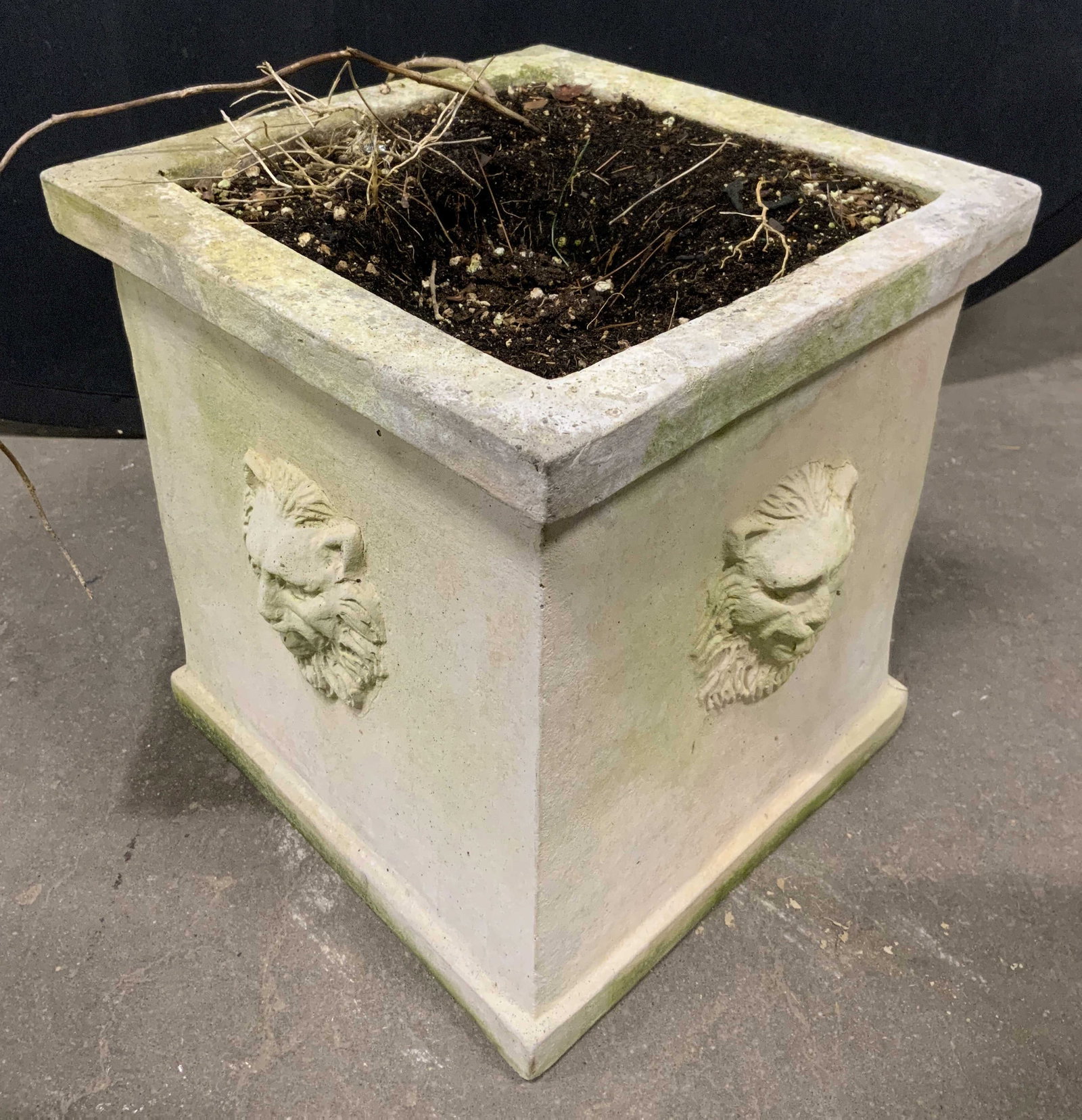 Vintage Cement Lion Planter W Lion Head Detail (1 of 7)