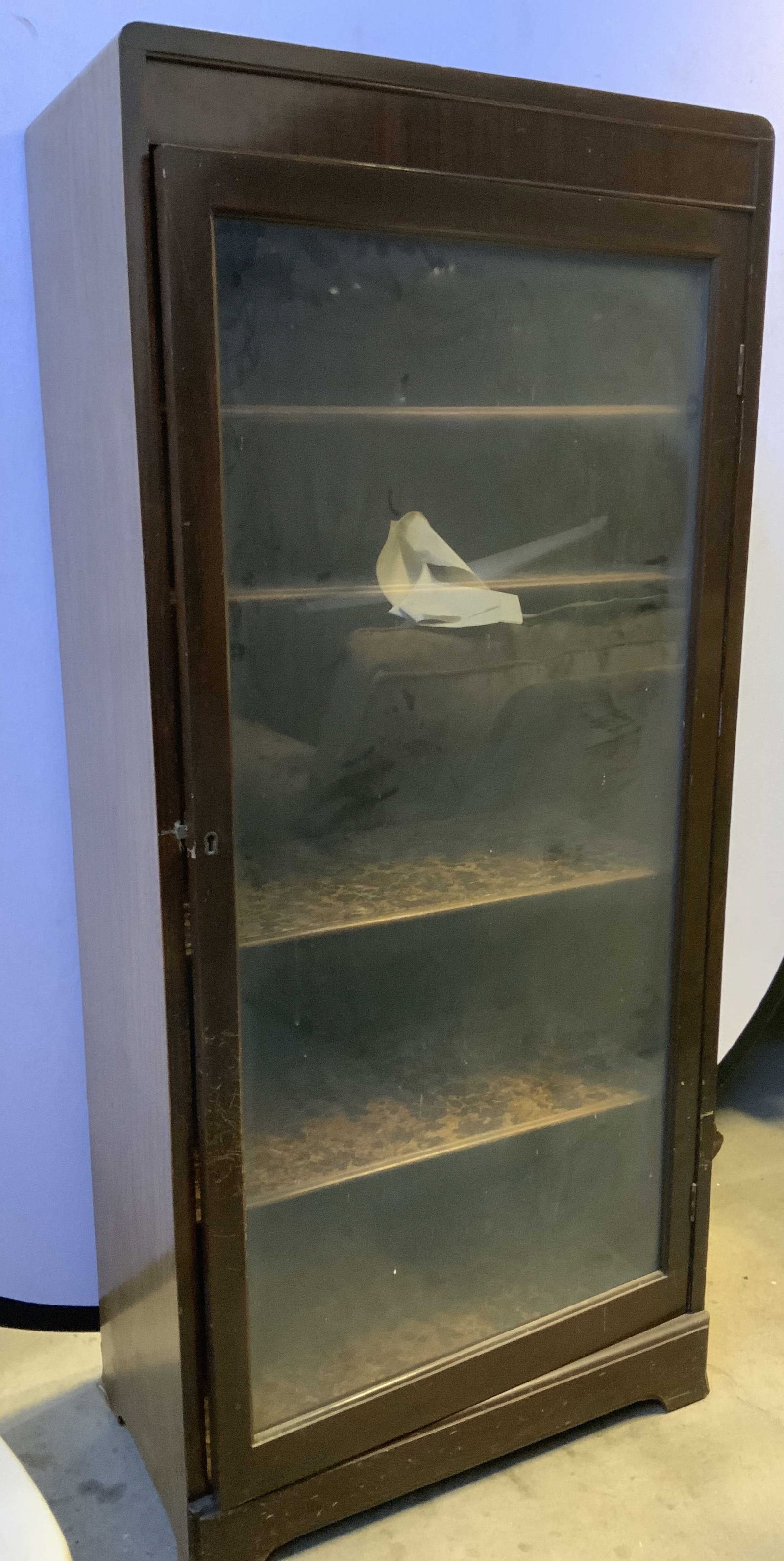Vintage Wooden Display Cabinet: Cabinet is brown toned and wooden. Piece has windowed door. Cabinet includes 4 shelves. Cabinet is vintage. Shelves have burled pattern. Piece measures approximately 53.5 inches tall 24.5 inches wide 
