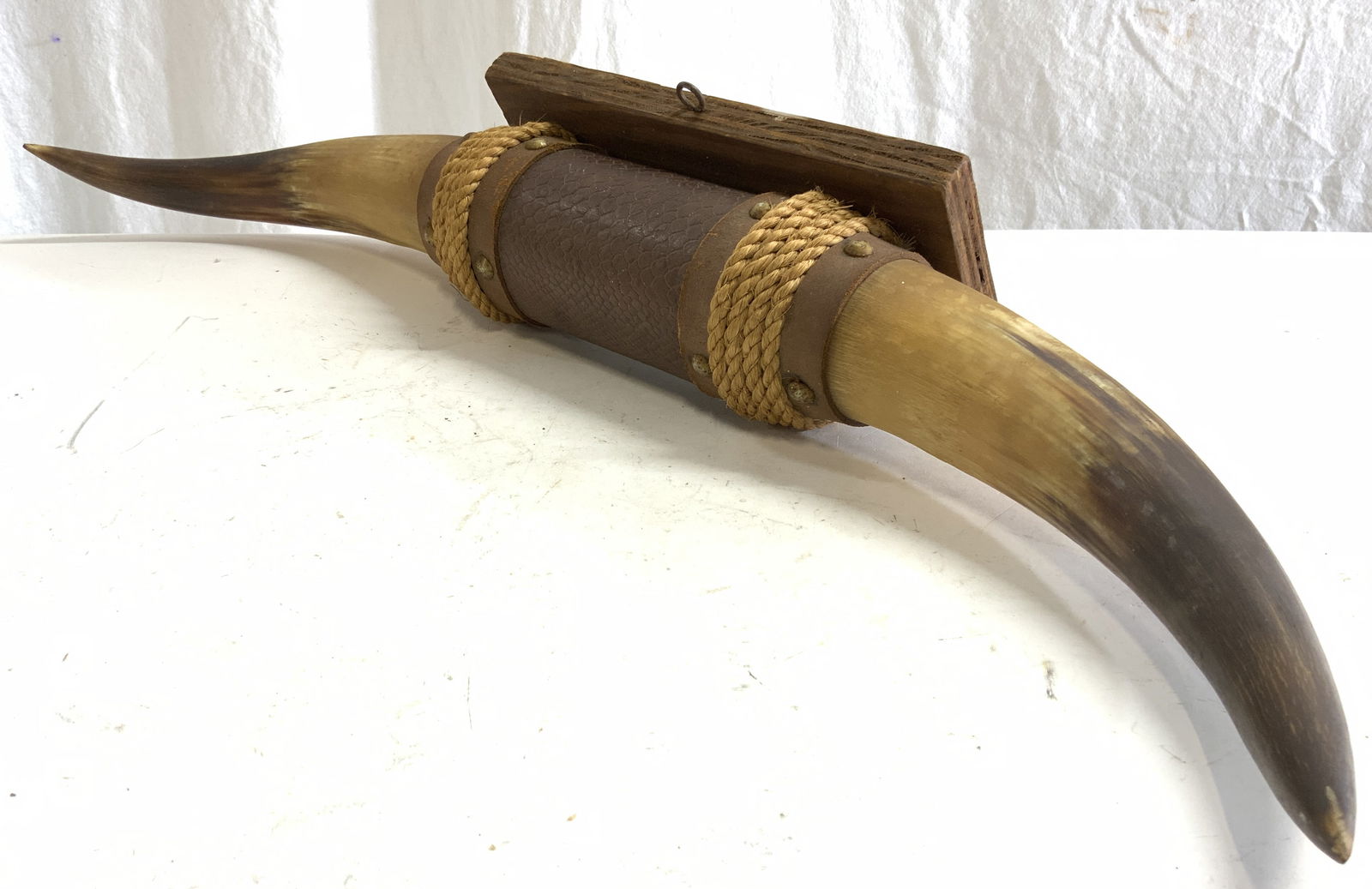 Mounted Steer Horn On Wood Board Wall Decor 27in (1 of 8)