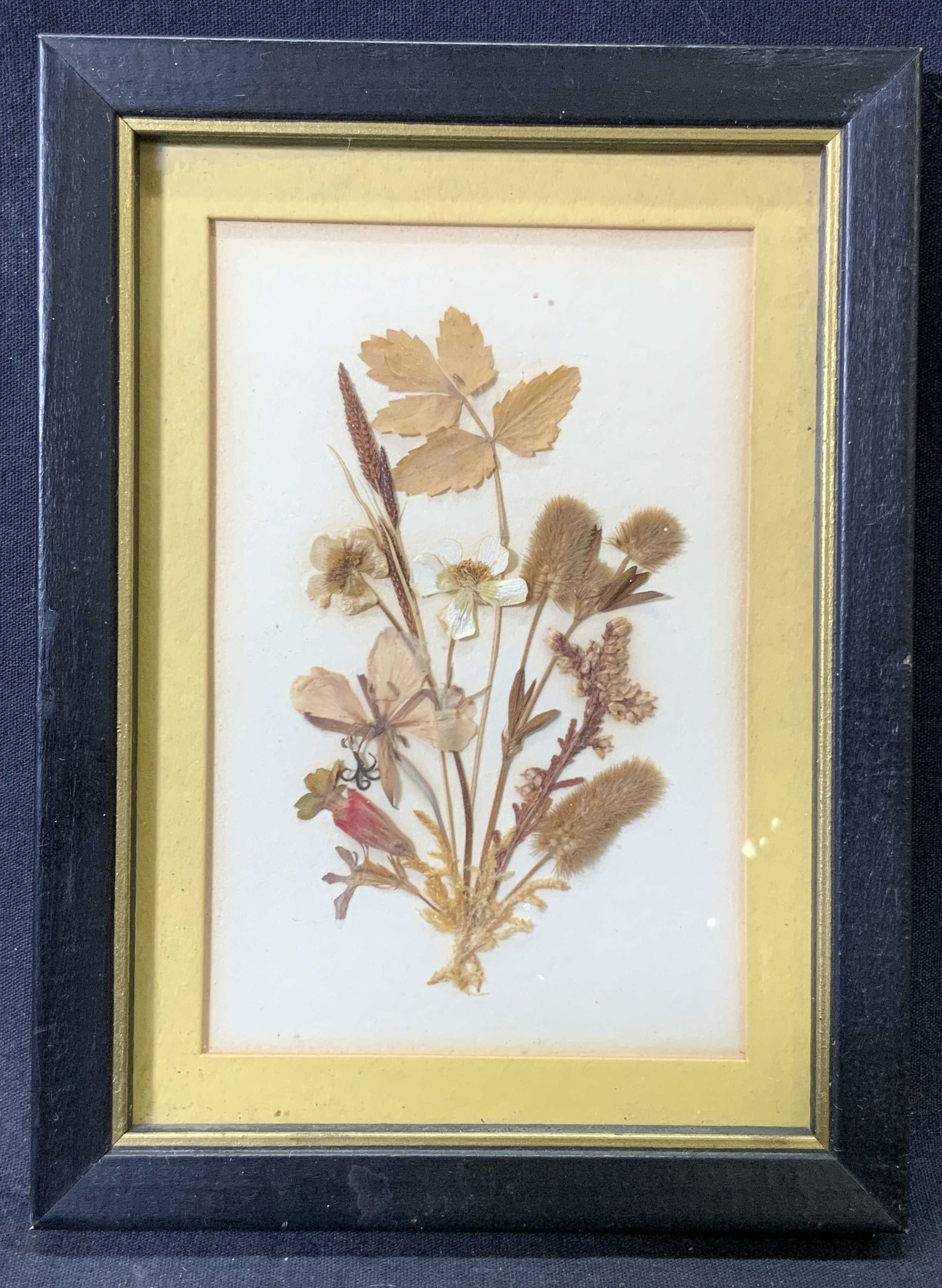 Vintage Framed Dried Pressed Wild Flowers Art (1 of 7)