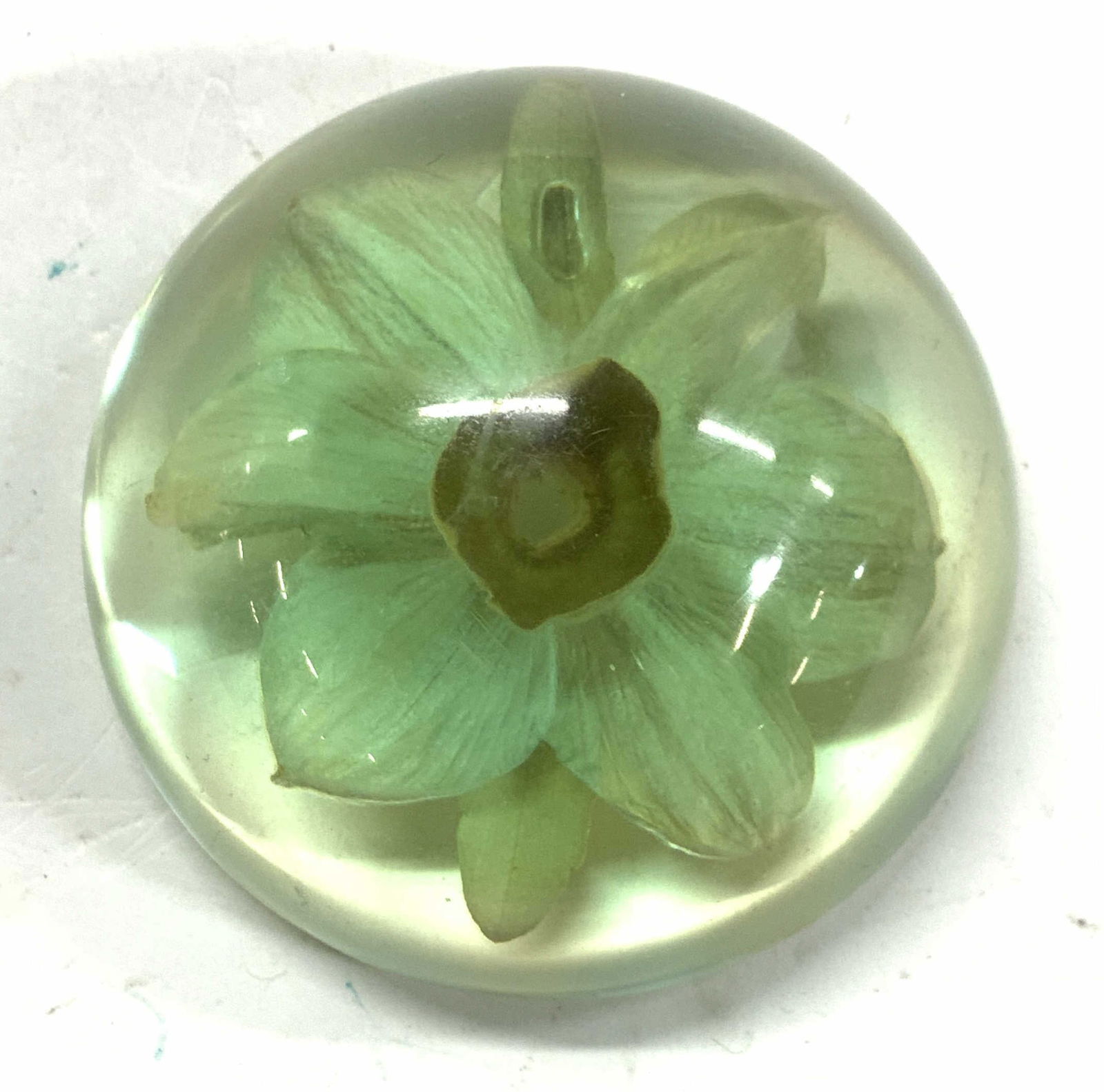 ROLFE Signed Resinous Flower Paperweight: Dome shaped paperweight with a dried flower captured in a resin that gives off green illumination. Some surface scratching present . Measures 3 in. Diameter and 1.5 in. Ht. Signed Rolfe Desk decor, ho