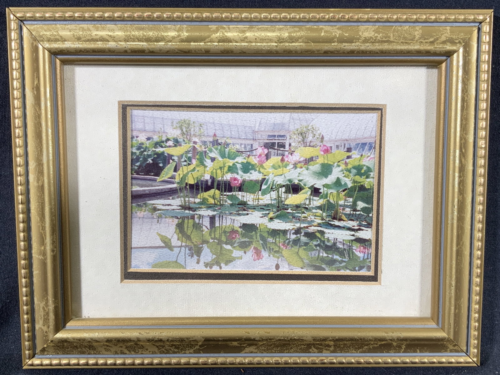 Framed Photo Botanical Garden Lily Pads: Framed Photograph. Photograph depicts Lily Pads in a botanical garden. Framed in gilt wooden frame. Frame measures approx. 9 W x 7 H in. Window measures approx. 6.5 W x 4.5 H in. Not viewed outside of