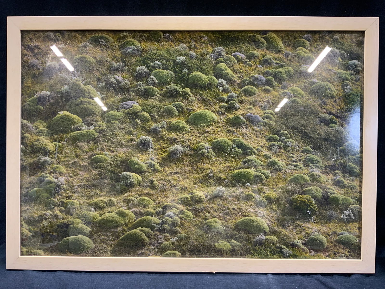 Framed Mossy Rocks Scenery Photograph (1 of 8)