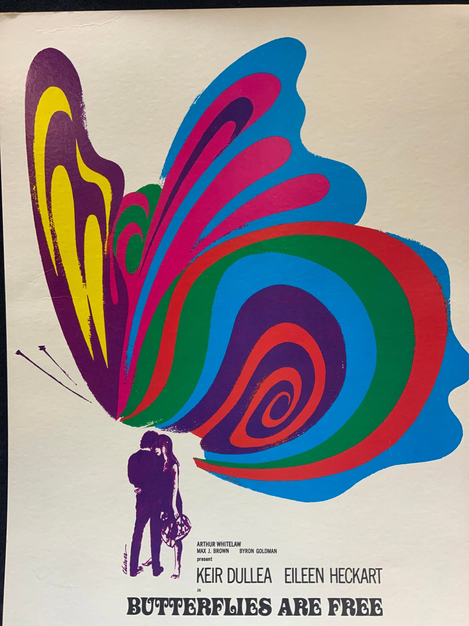 Butterflies Are Free 1977 Vintage Screen Print (1 of 12)