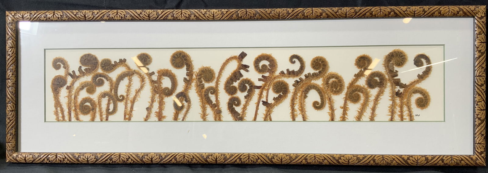 Framed Pressed & Mounted Vermont Fiddleheads (1 of 13)