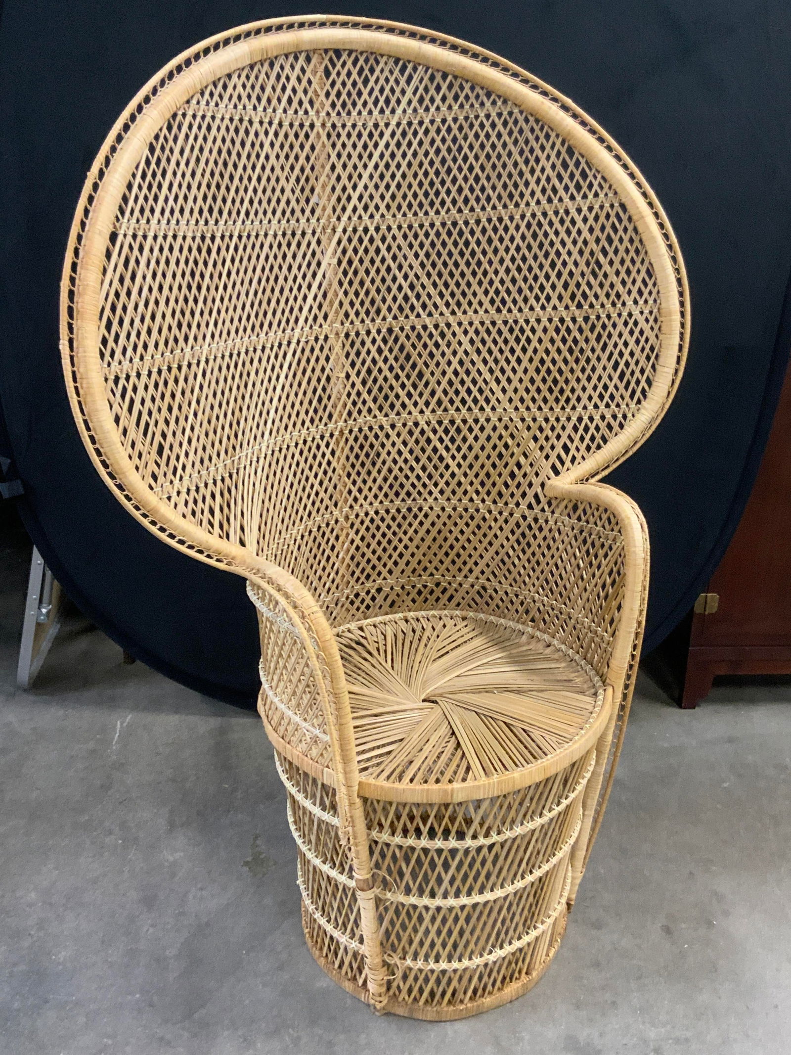 Vintage Mid Century Rattan Peacock Chair (1 of 16)