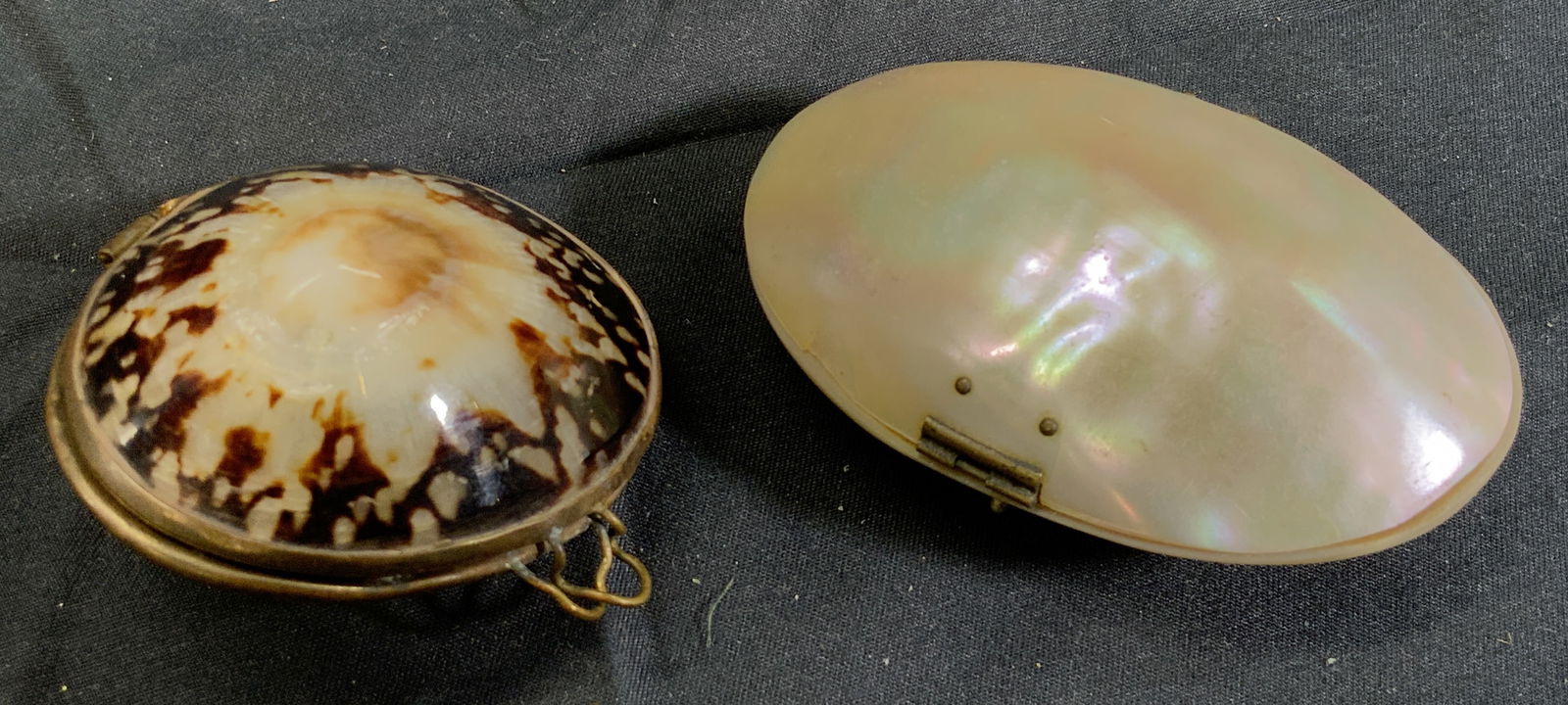 Hinged Brown & Pearl Sea Shell Trinket Boxes (1 of 10)