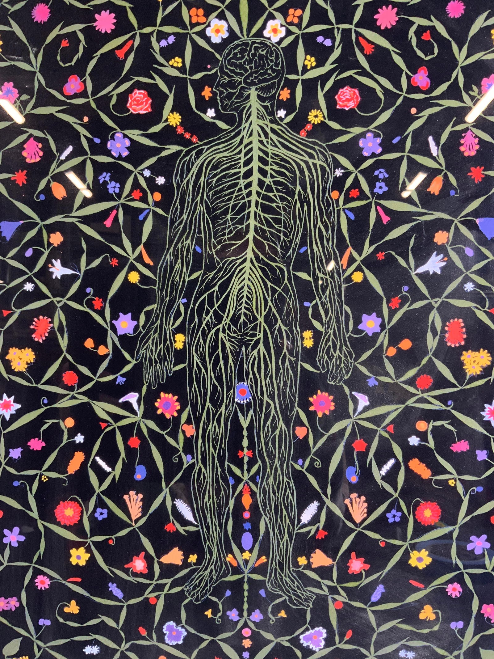 Fred Tomaselli Limited Edition Signed Art Print (1 of 15)