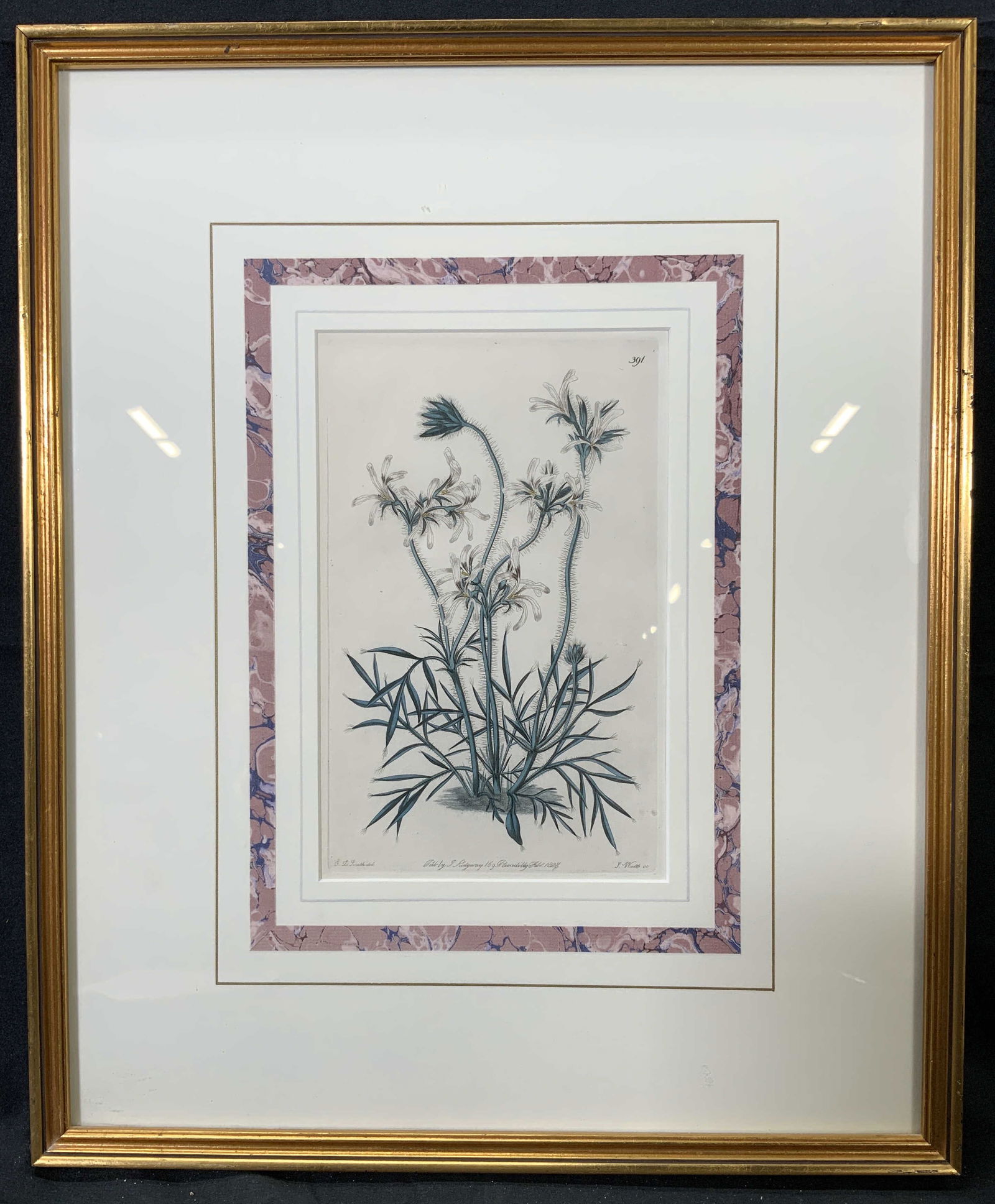 ANTQ Original Hand Colored Botanical Engraving (1 of 10)