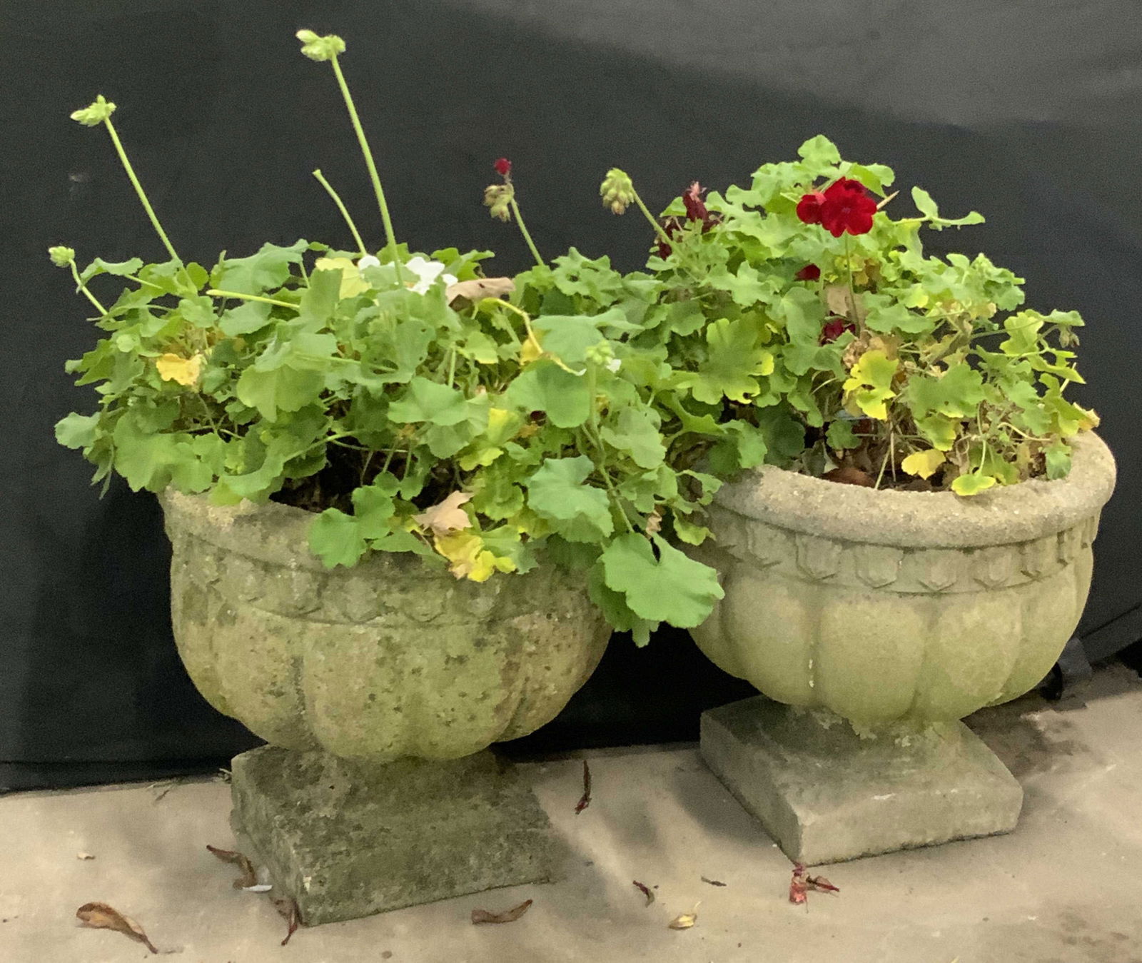 Pair Vintage Ribbed Cement Planters (1 of 9)