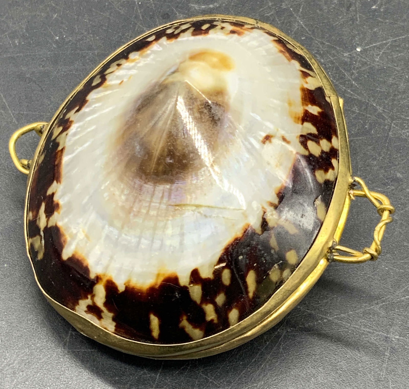Handmade Polished Seashell Trinket Box Pendant (1 of 8)