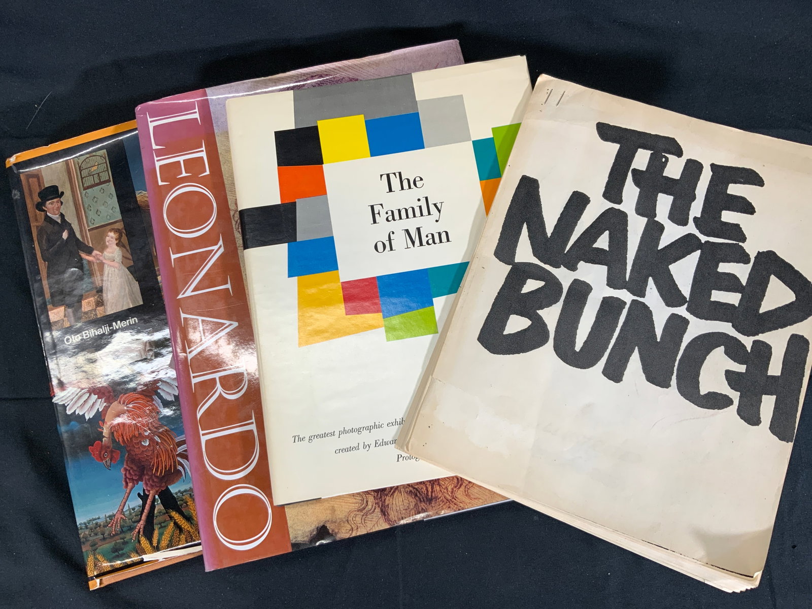 Lot4 Art & Photography Books1955-1993: 4 Pieces of literature based on different art mediums and masters. Largest books measures approx. 13 H x 10 W in. Books and lit. Have tears to dust jackets. The Family of Man. Created by Edward Steich