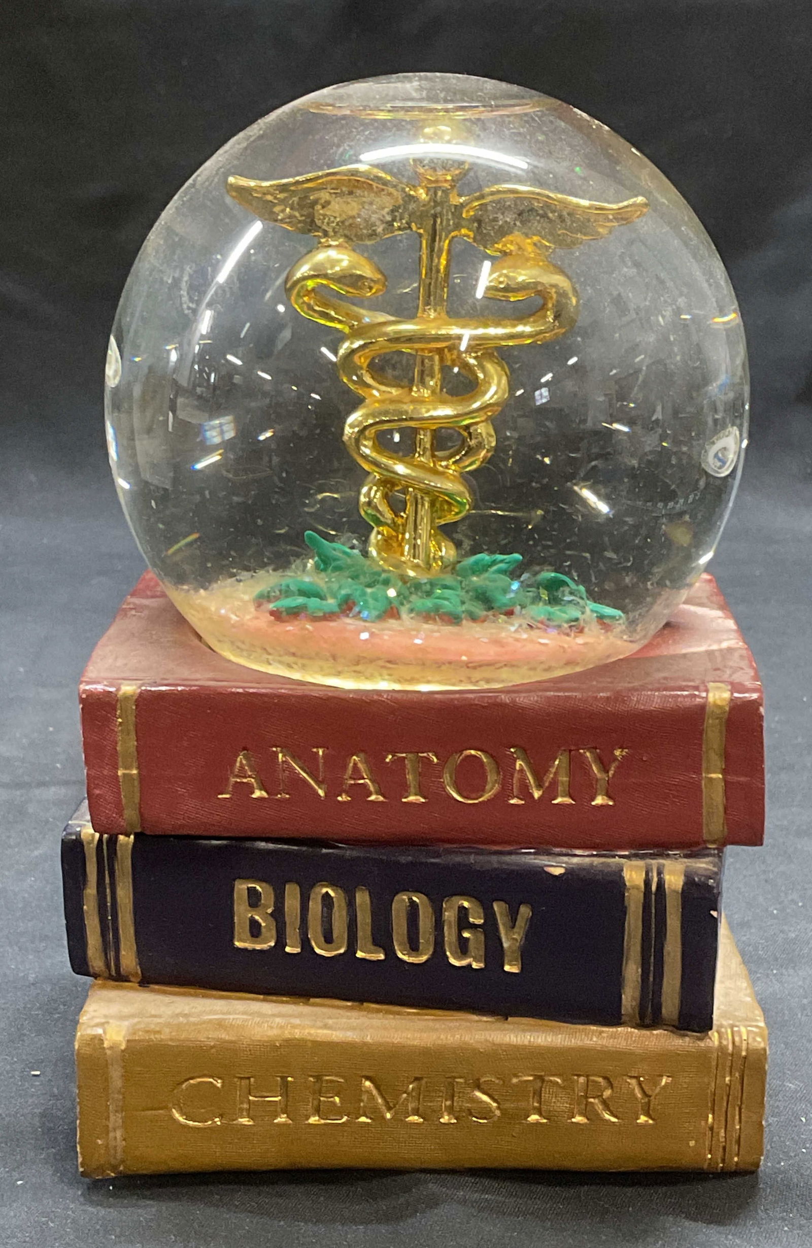 San Francisco Music Box Medical Snow Globe (1 of 6)