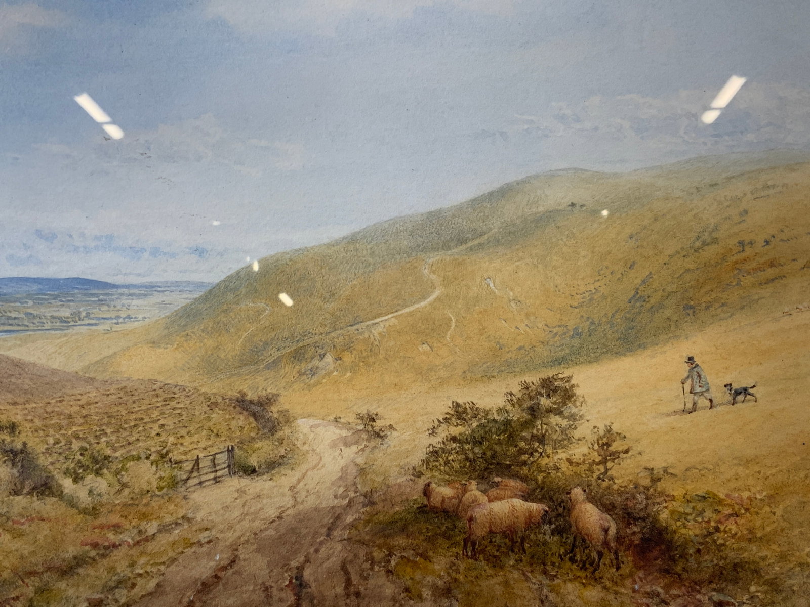 Antq1885 Edward Matthews Amberley Downs Watercolor: Watercolor on paper. Signed in lower left corner. Artists name is Edward Matthews. Matthews was a member of the royal water color society. Titled Amberley Downs, West Sussex. Dated 1885. Subject depic