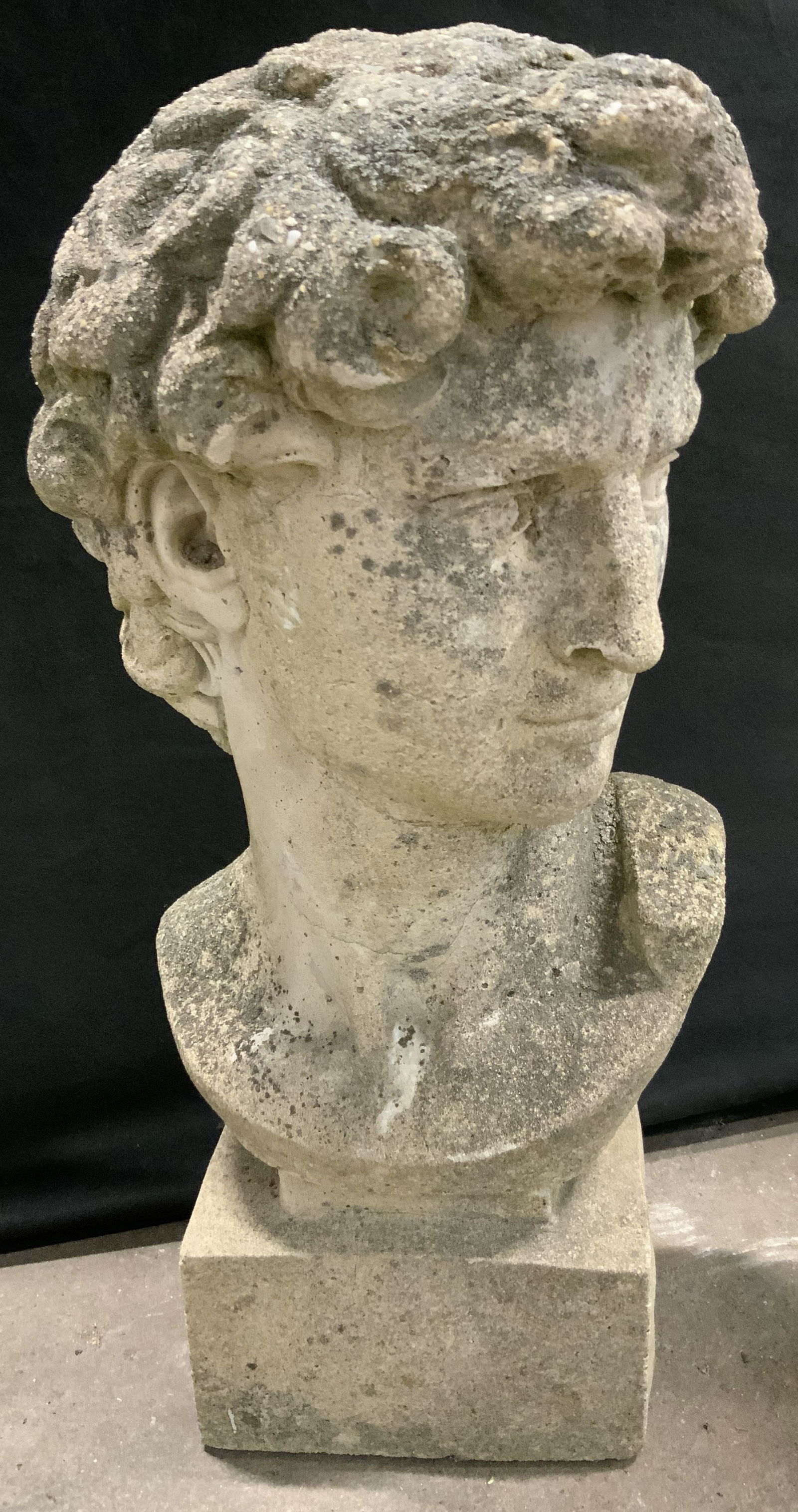 Vintage Cast Stone David Head Bust Garden Statuary (1 of 8)