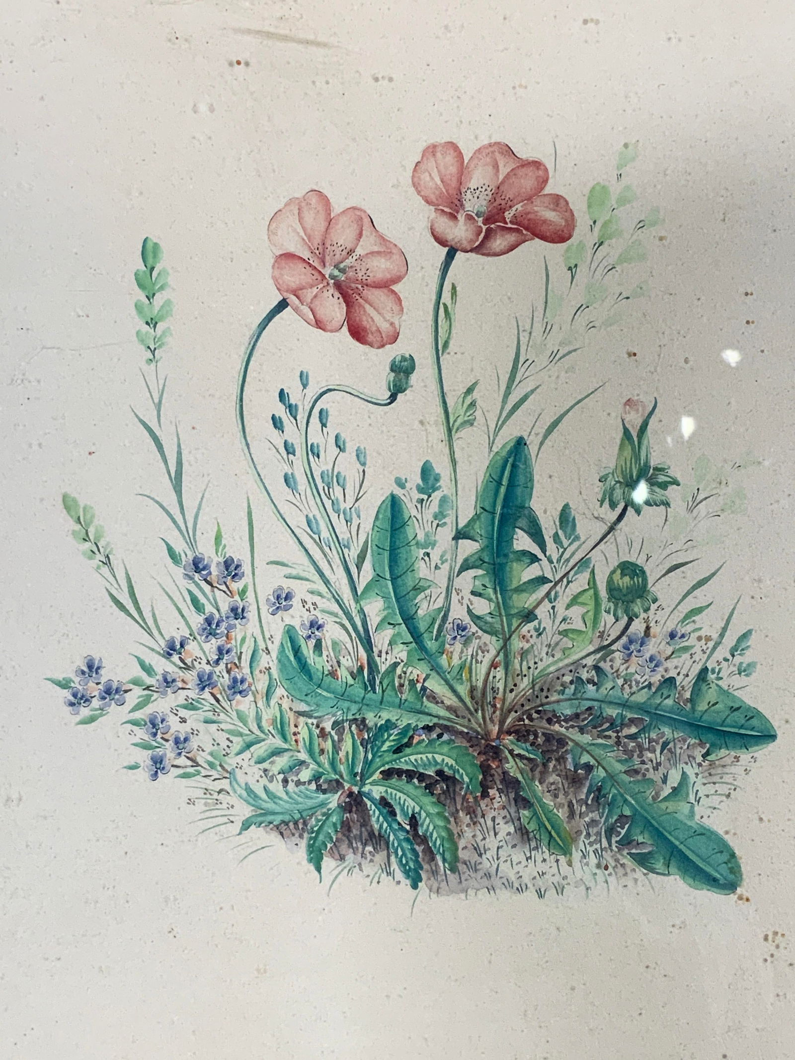 Framed Vintage Original Botanical Watercolor (1 of 8)