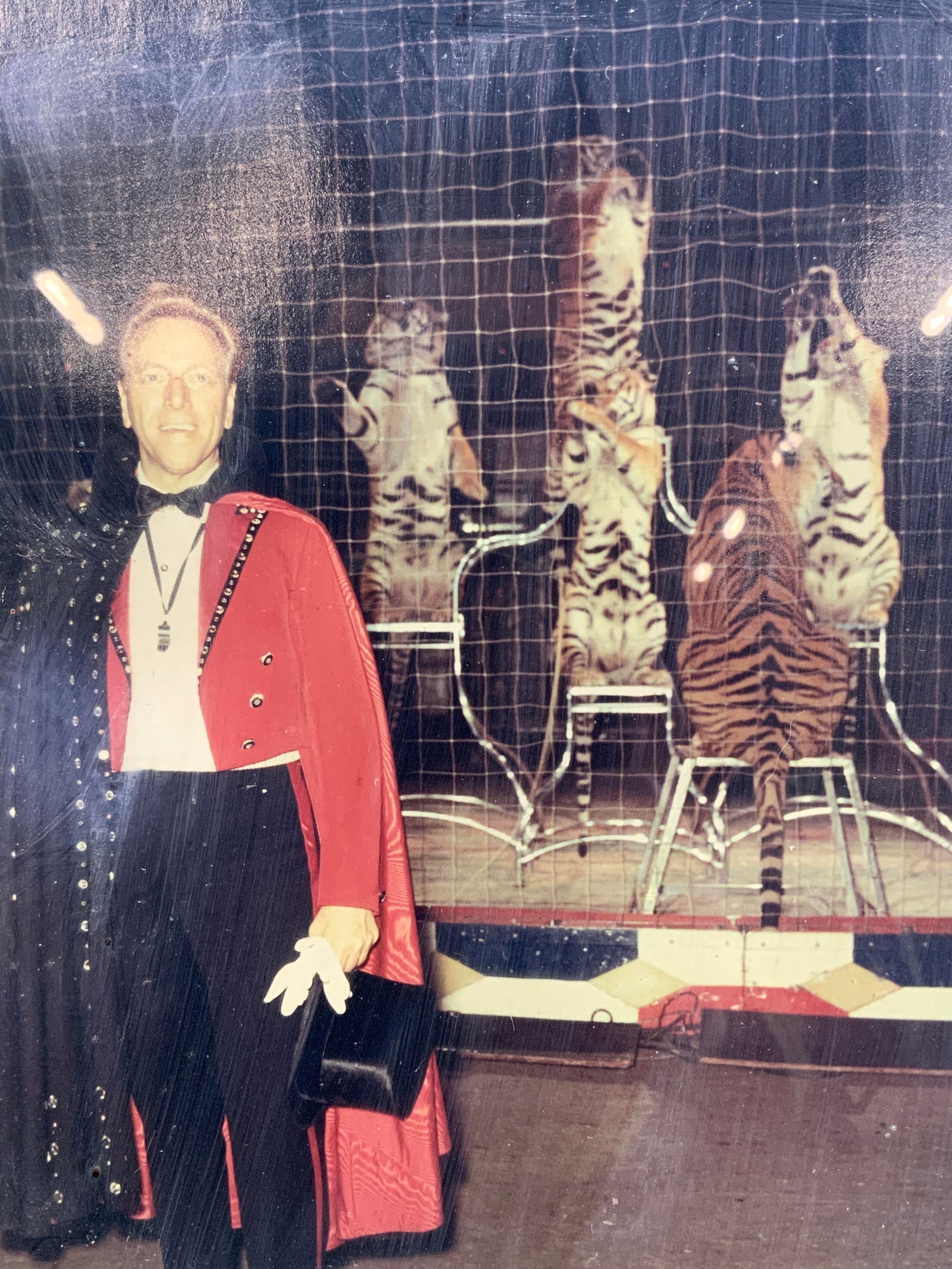 Vintage Circus Ring Leader & Tigers Photograph: Framed photograph. Subject depicts a Circus ring leader outside of the tigers den, the tigers are all on platforms on their hind legs. Property comes from the family of P.T Barnum, through descendants