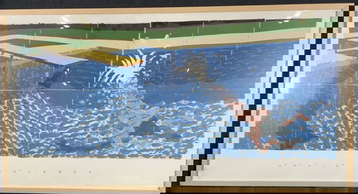 David Hockney Framed The Diver Lithograph