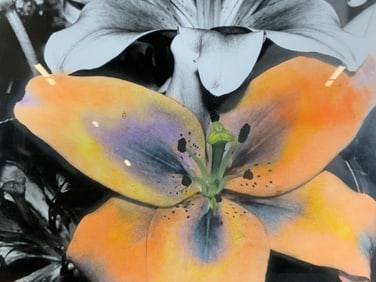 Signed & Framed Hand Colored Lily Photograph