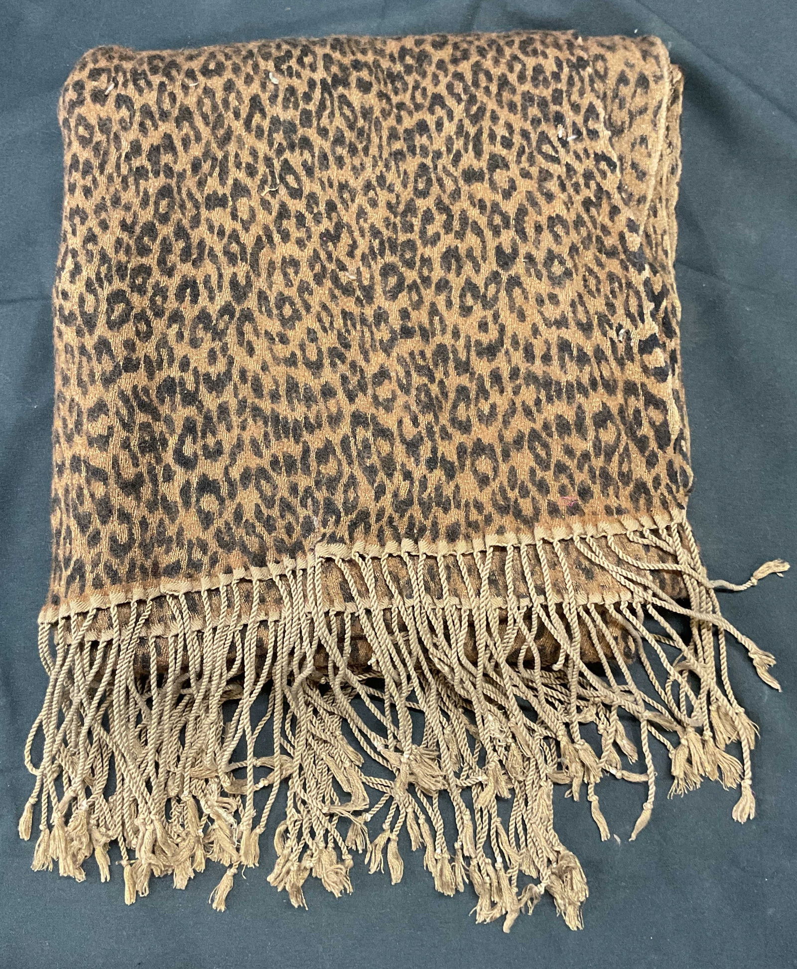 Leopard Print Fringe Scarf (1 of 6)