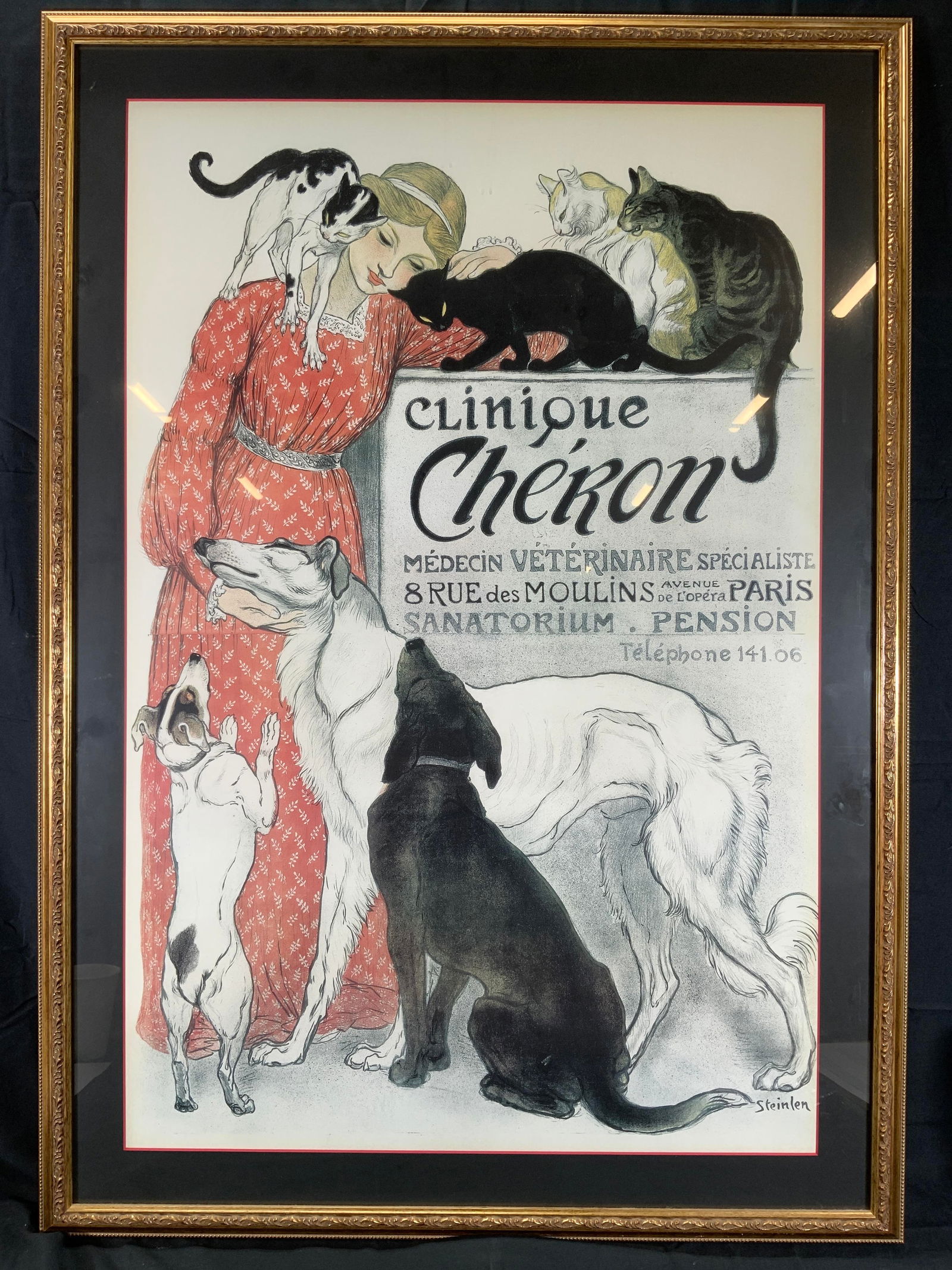 Clinique Cheron Veterinary Medicine & Hotel Litho (1 of 12)