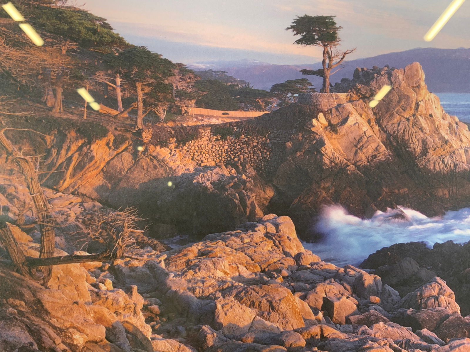 Pebble Beach Lone Cyprus by Pat Drickey Litho (1 of 10)