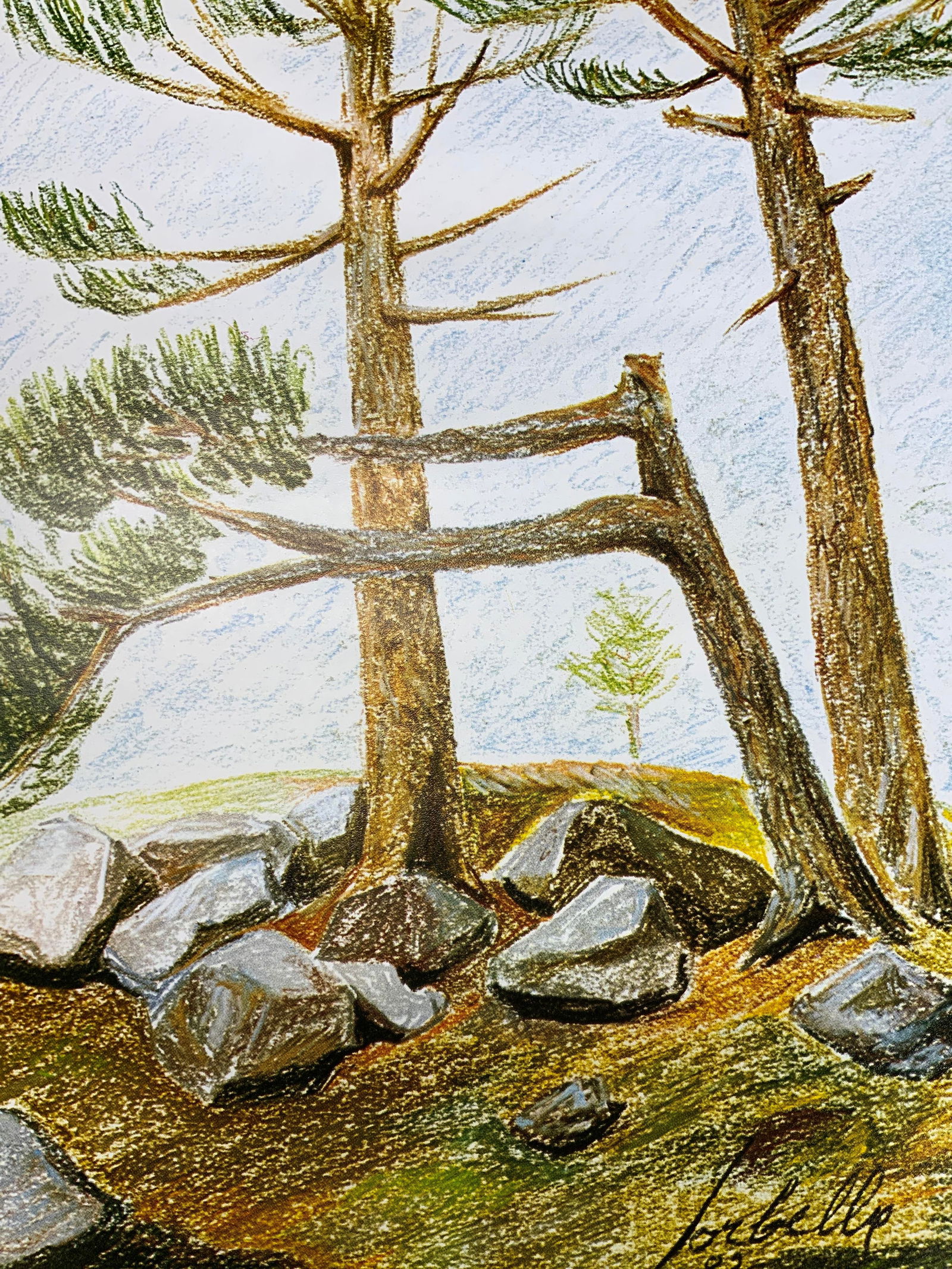 Lot 2 Lorbello Signed Three trees Lithograph (1 of 8)