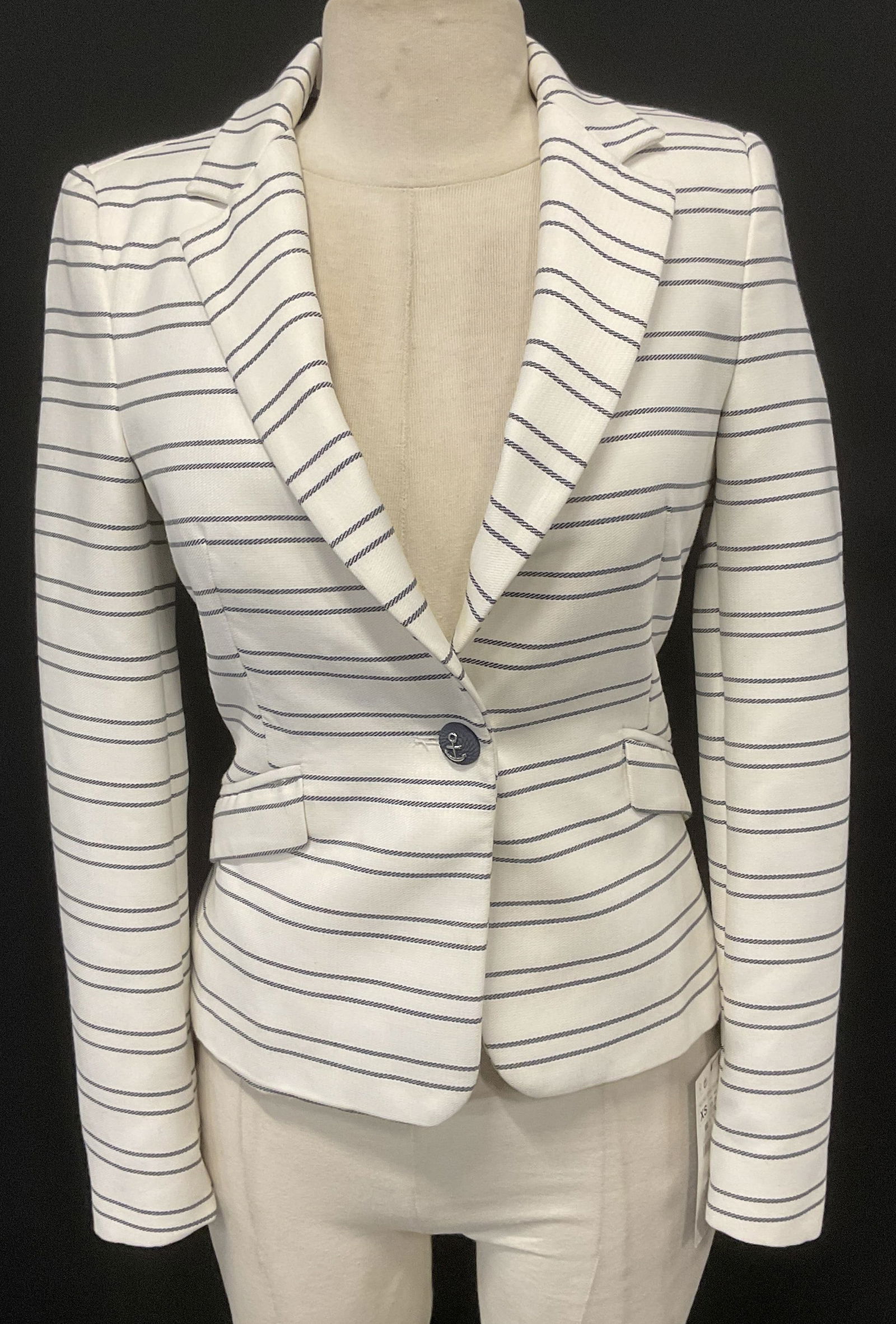 Zara Black & White Striped Blazer Jacket NWT (1 of 9)