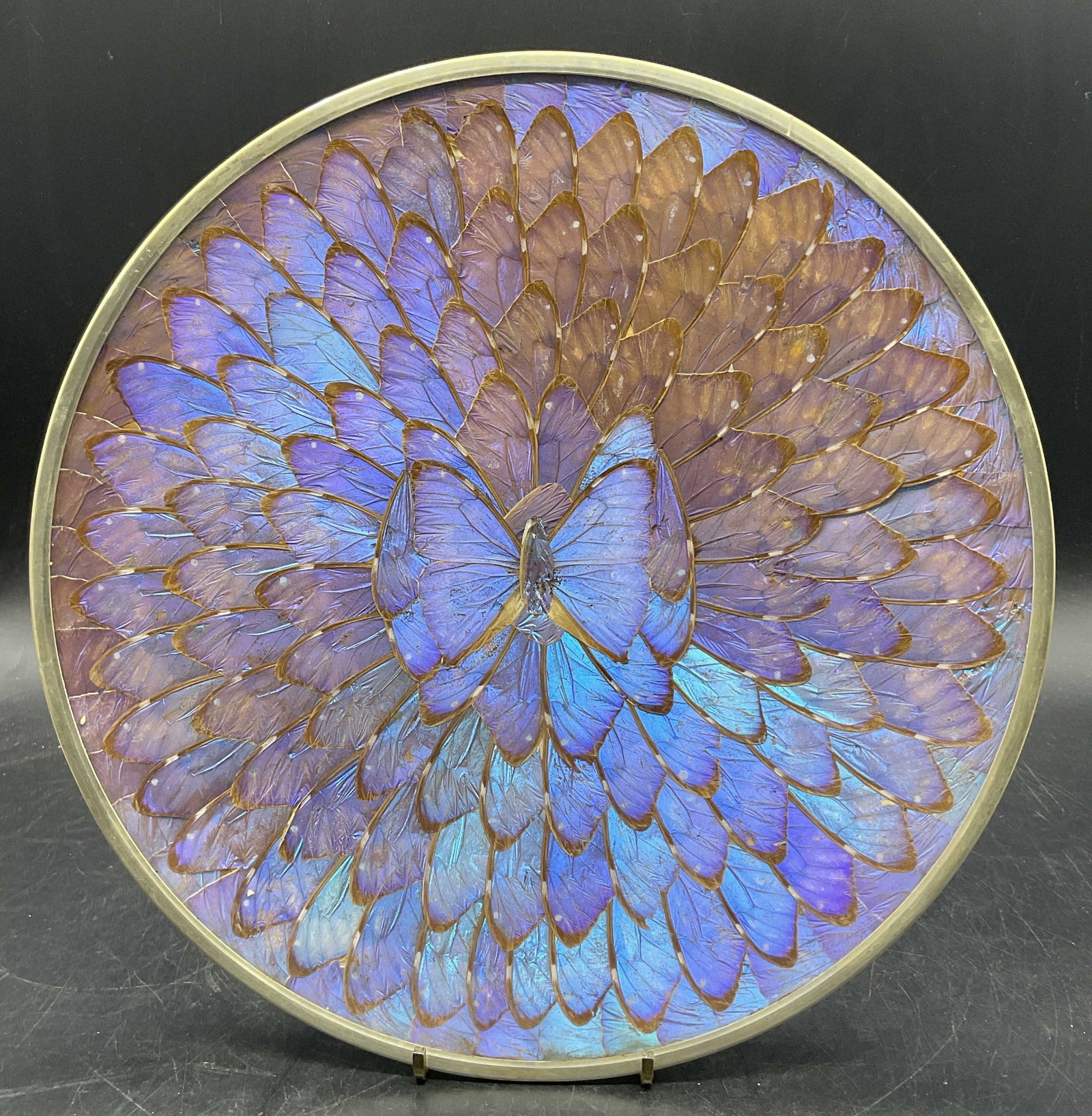 Vintage Iridescent Butterfly Wing Metal Back Plate: A vintage iridescent butterfly wing metal backed plate. Clear plastic obverse. Measures approx. 11.25W x 11.25L in. Some surface wear consistent with age, use, and exposure. Sticker residue to reverse