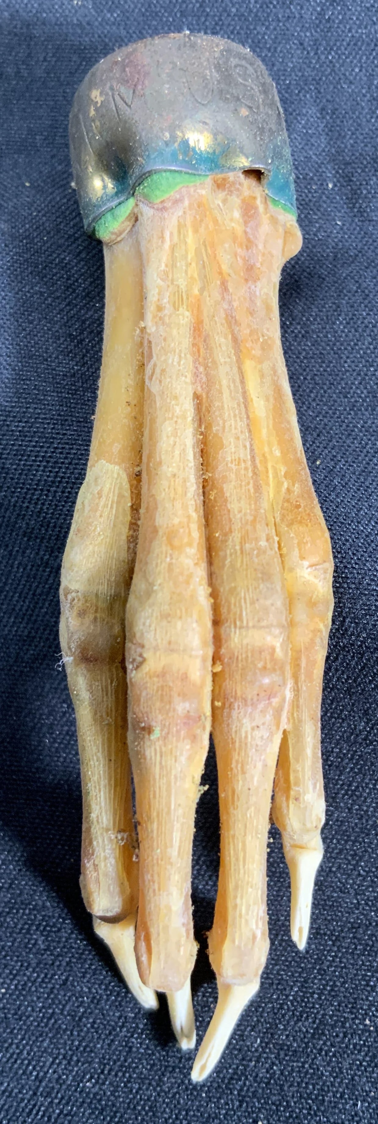 Rabbit Foot Skeleton Pendant Keychain (1 of 7)