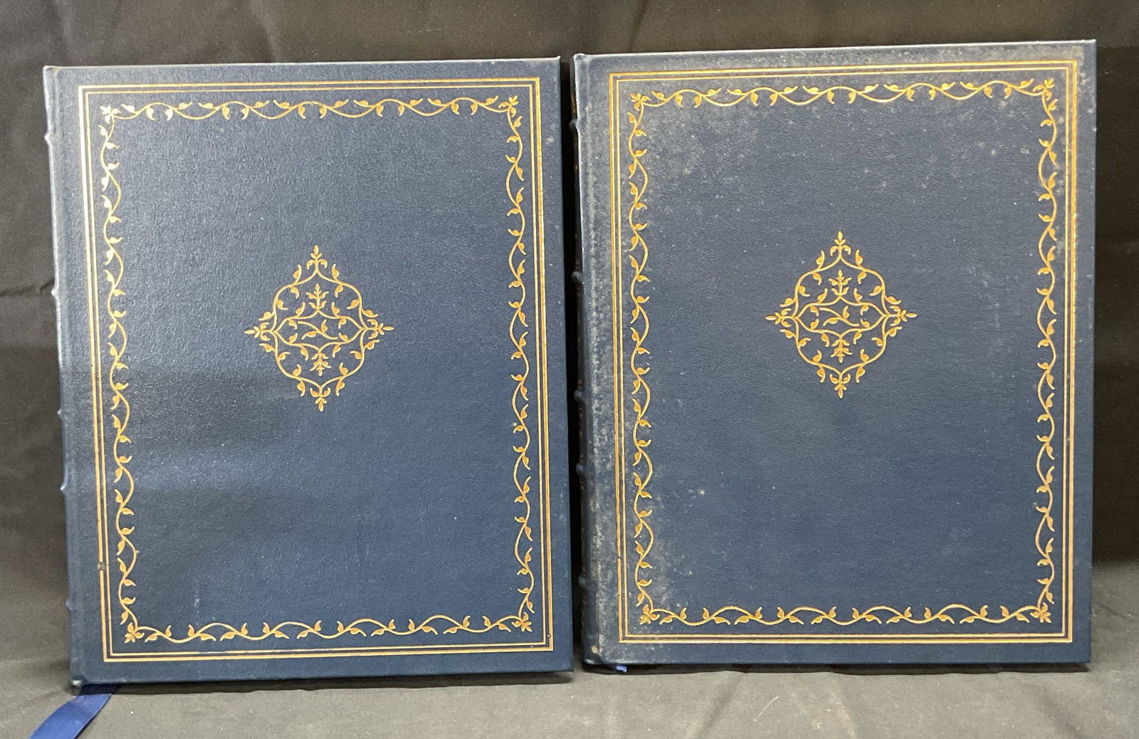 Pr Engravings of Brain & Nerves Books Illustr 1982 (1 of 10)