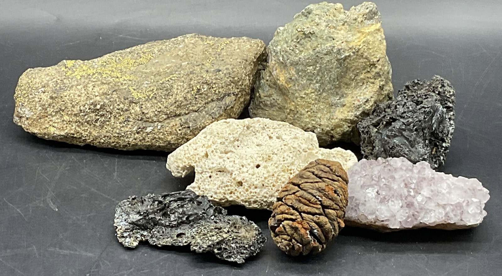 Lot 7 Natural Stone, Coral, & Nature Specimens: Seven natural stone, coral, and nature specimens. Largest piece measures approx. 5W x 1.75H in. Pieces have wear consistent with age, use, and exposure. home decor, home accents, homewares, housewares