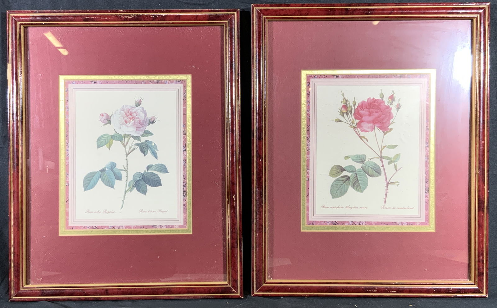 Lot 2 Framed Pink Rose Stems Lithographs (1 of 10)