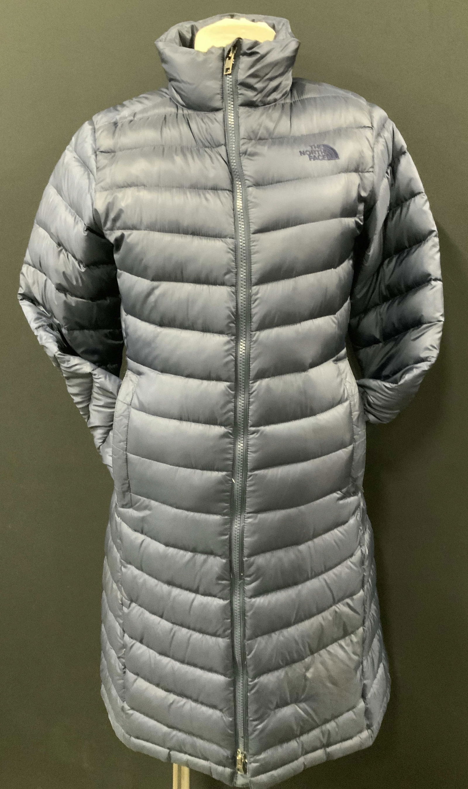 The North Face Winter Jacket in Navy (1 of 10)