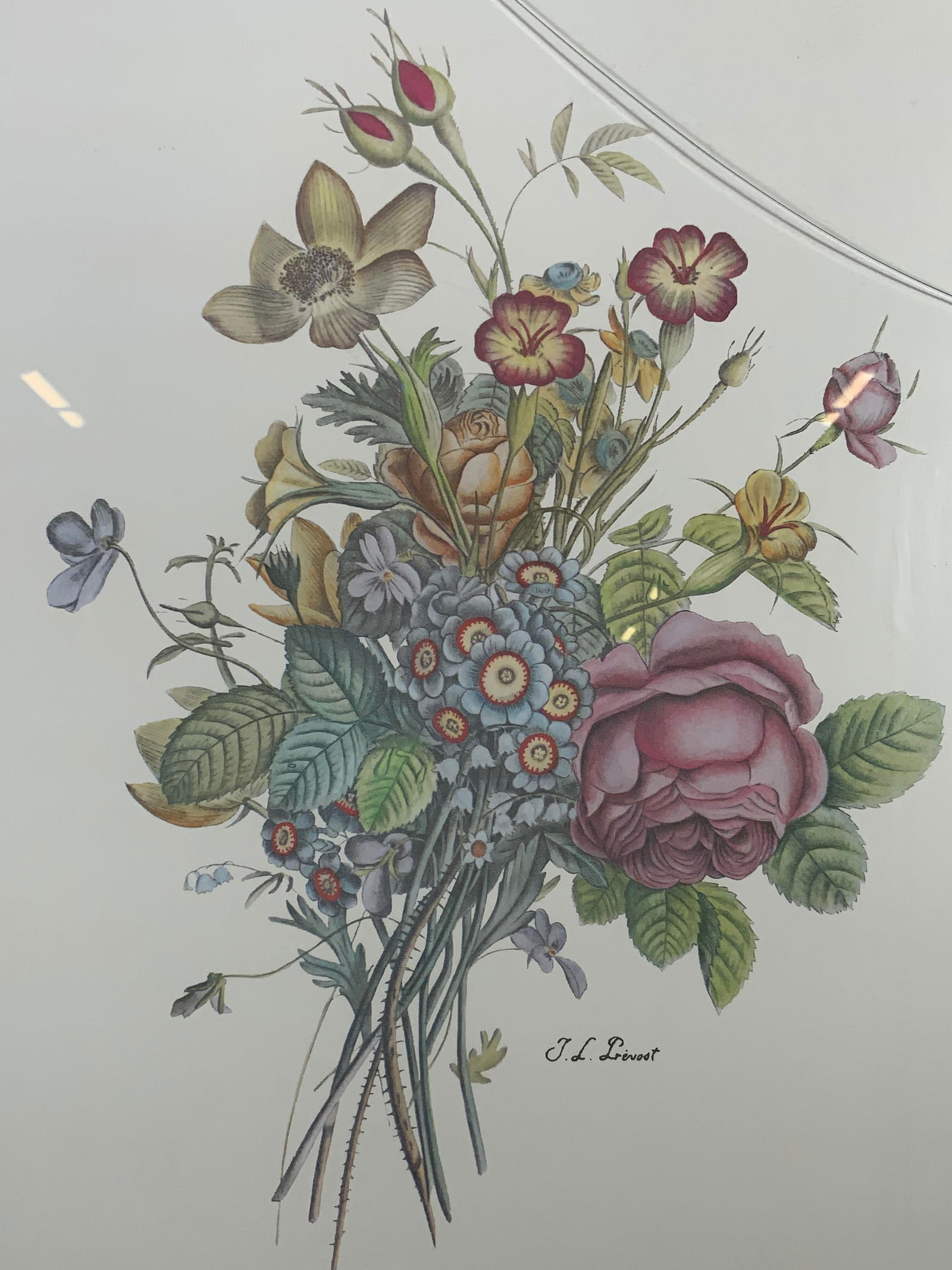 J.L Prevost Framed Wild Flower Bouquet Lithograph (1 of 10)