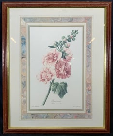 Framed Alcea Rose G. Van Spaendonck Lithograph