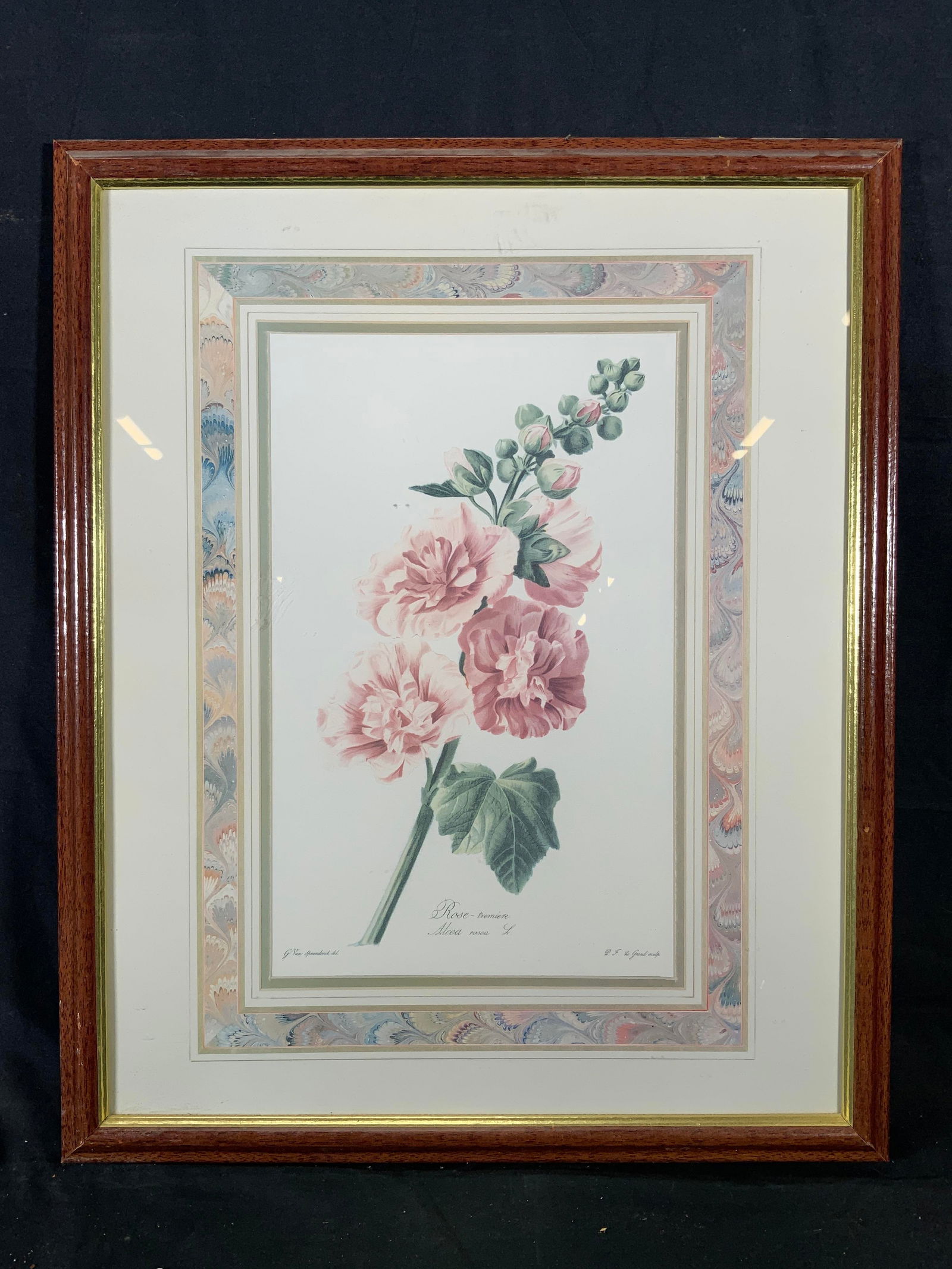 Framed Alcea Rose G. Van Spaendonck Lithograph (1 of 7)