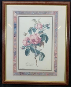 Framed Bumblebee & Rose G. Van Spaendonck Litho